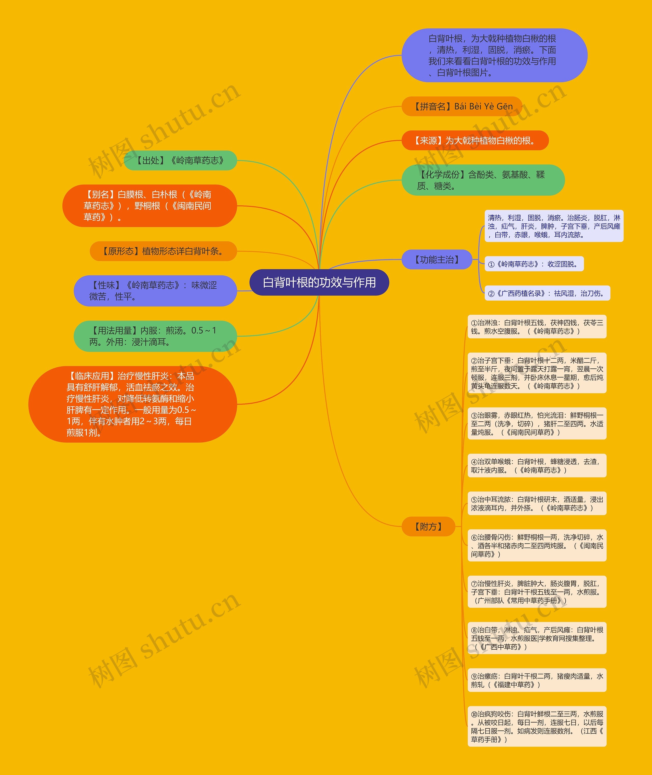 白背叶根的功效与作用思维导图