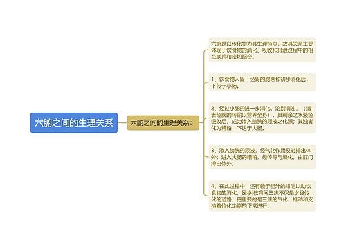 六腑之间的生理关系