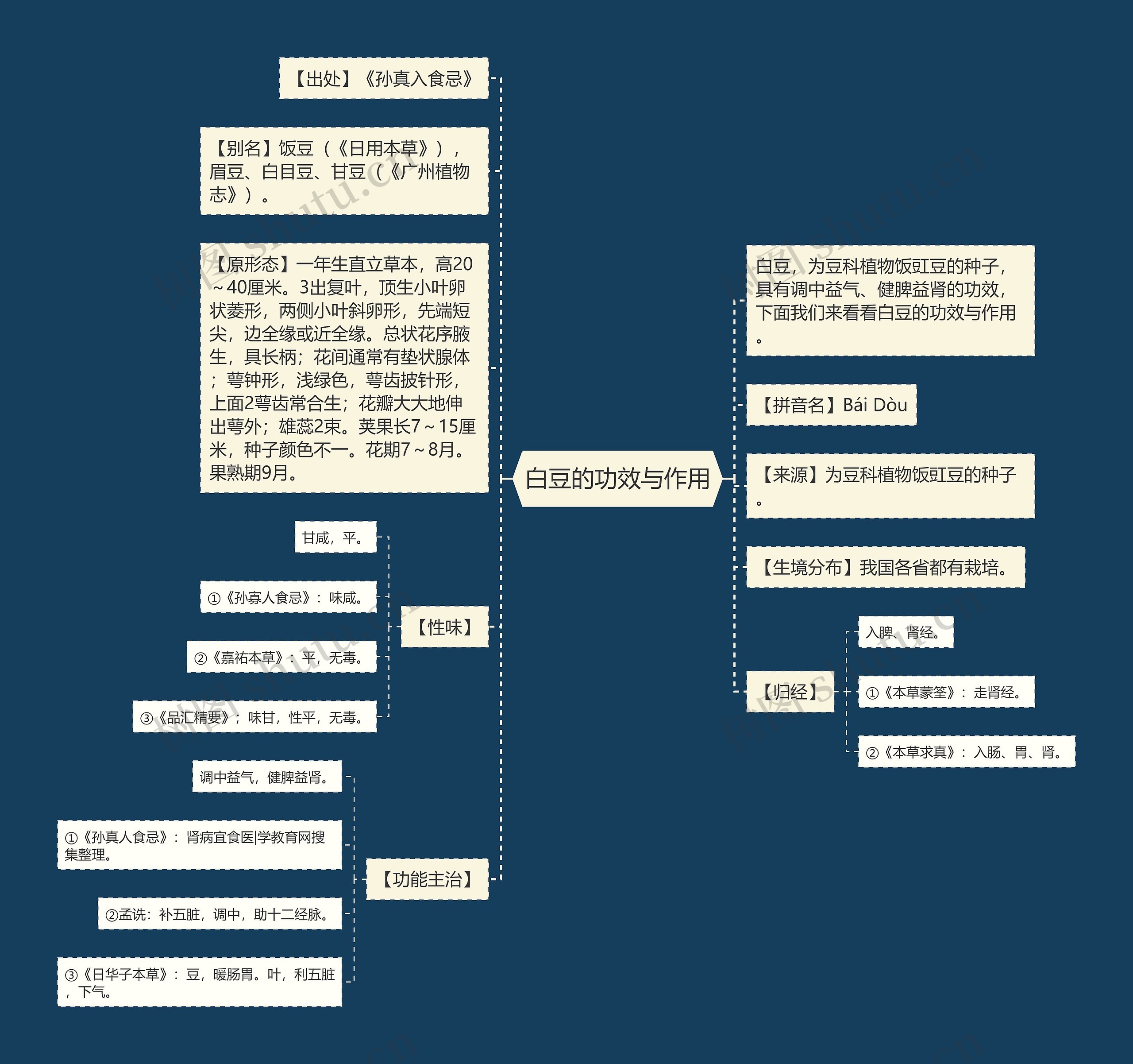 白豆的功效与作用思维导图