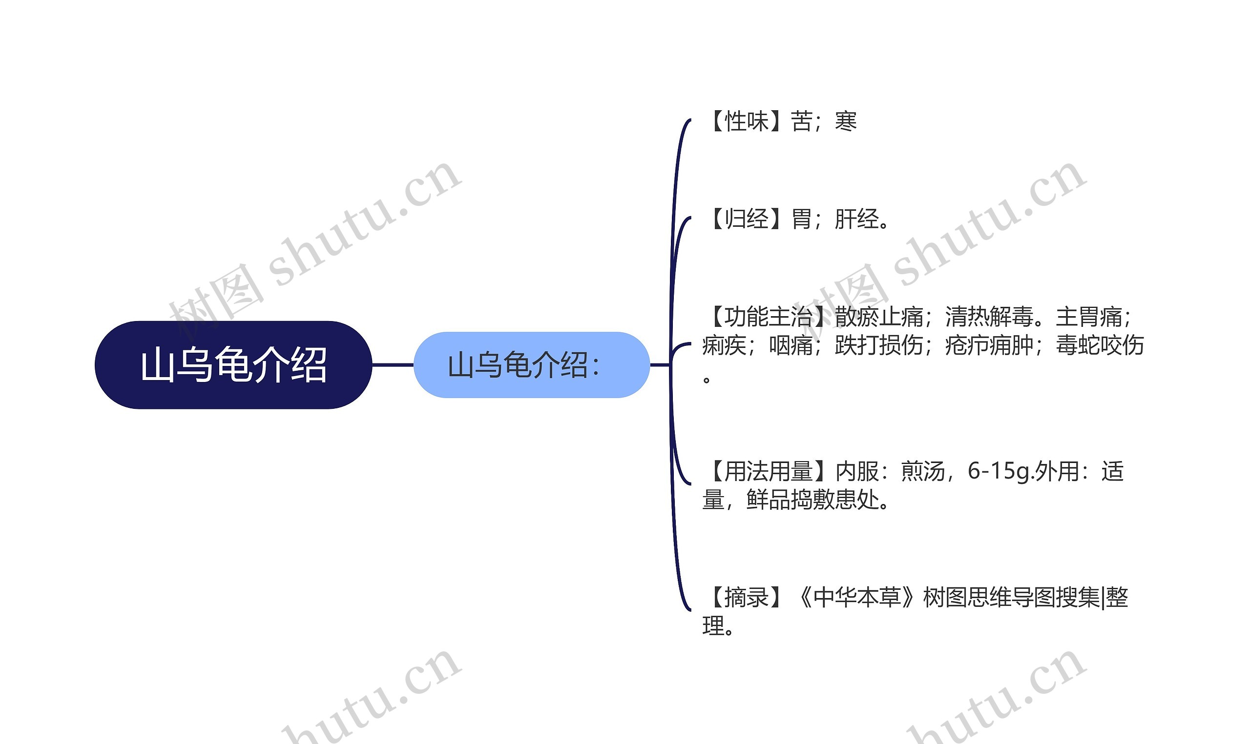 山乌龟介绍