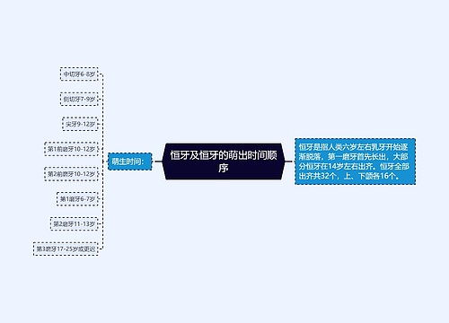 恒牙及恒牙的萌出时间顺序