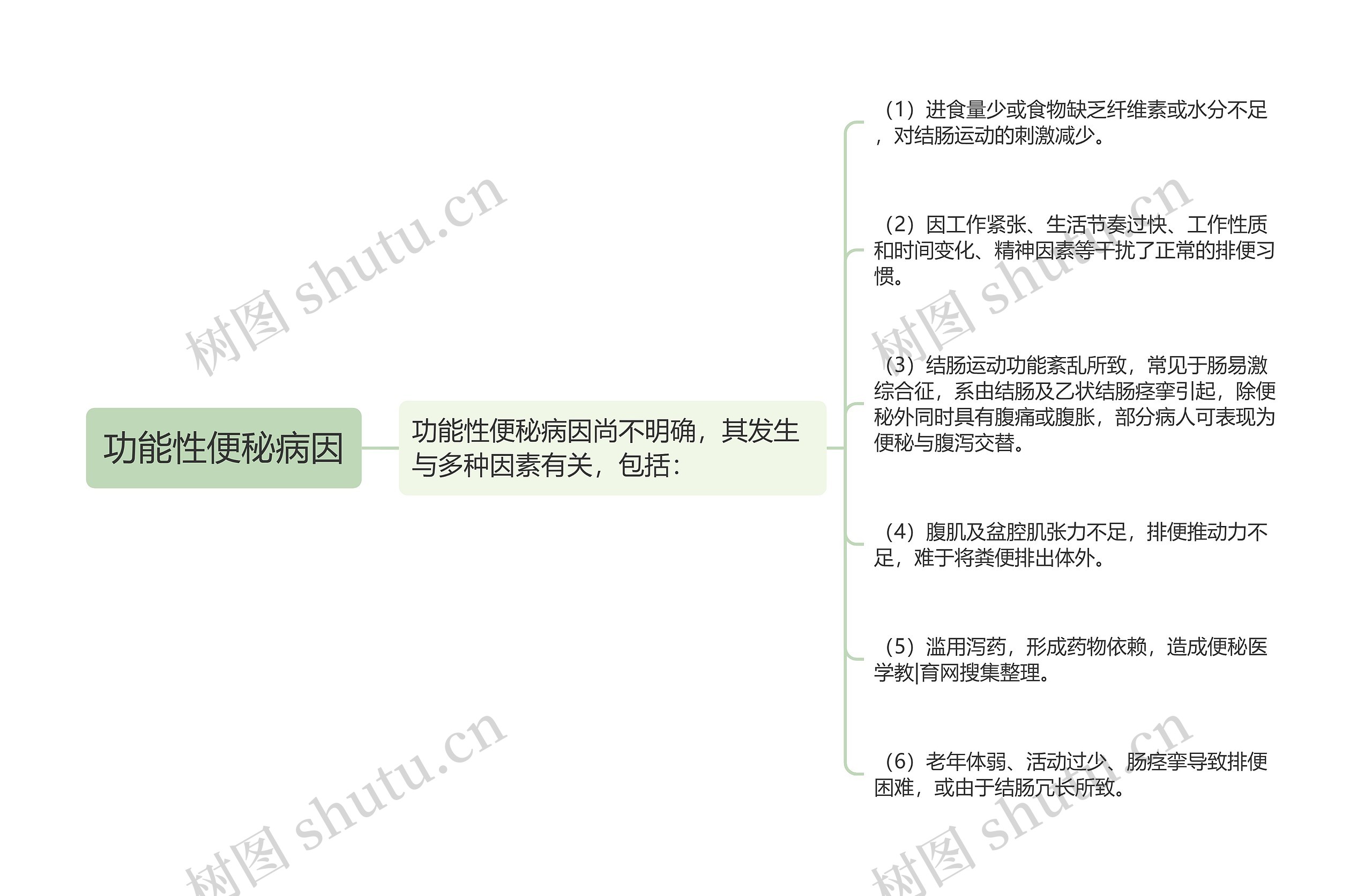 功能性便秘病因思维导图