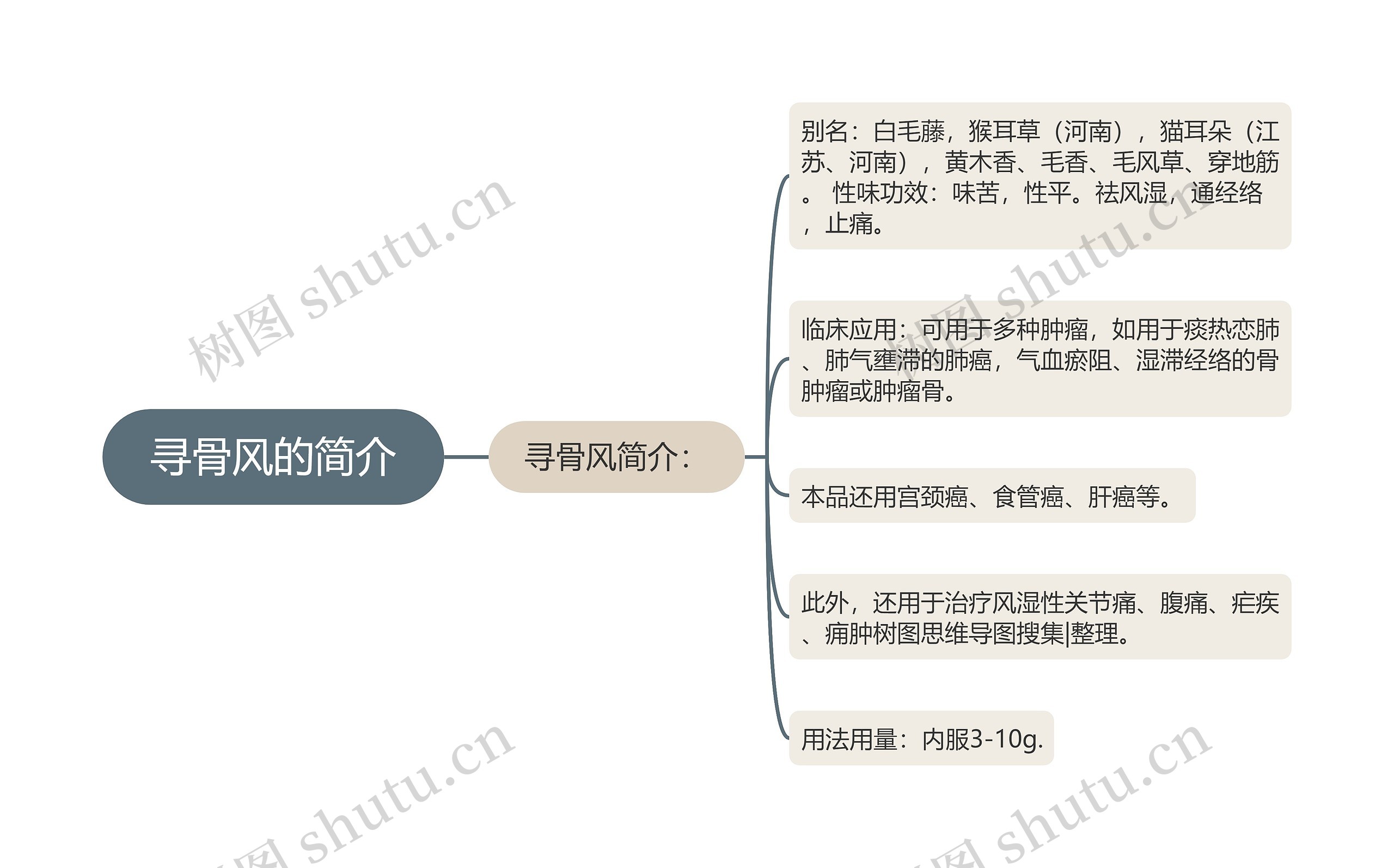 寻骨风的简介 寻骨风的简介