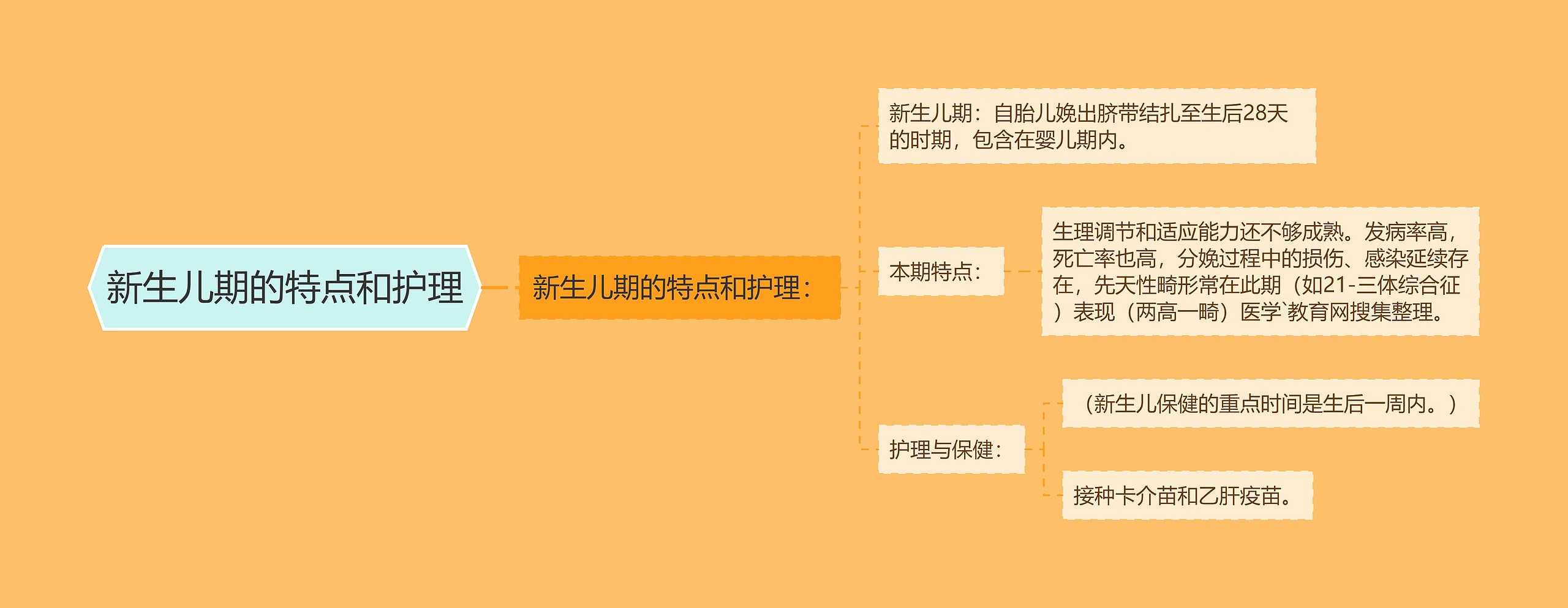 新生儿期的特点和护理思维导图