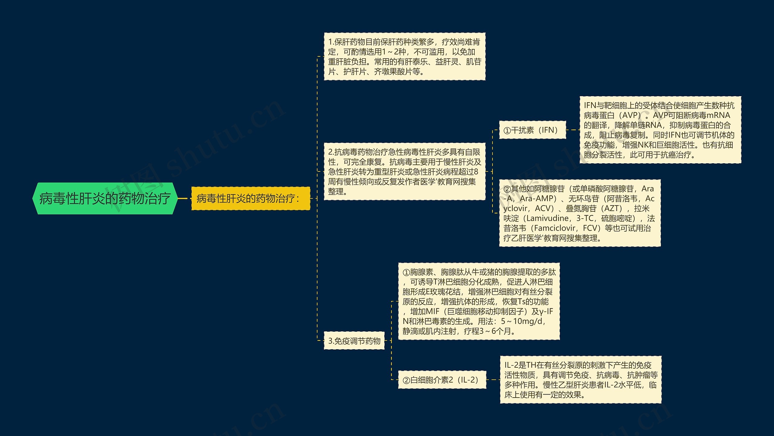 病毒性肝炎的药物治疗思维导图