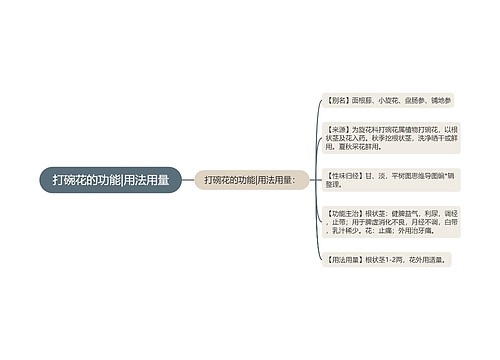 打碗花的功能|用法用量