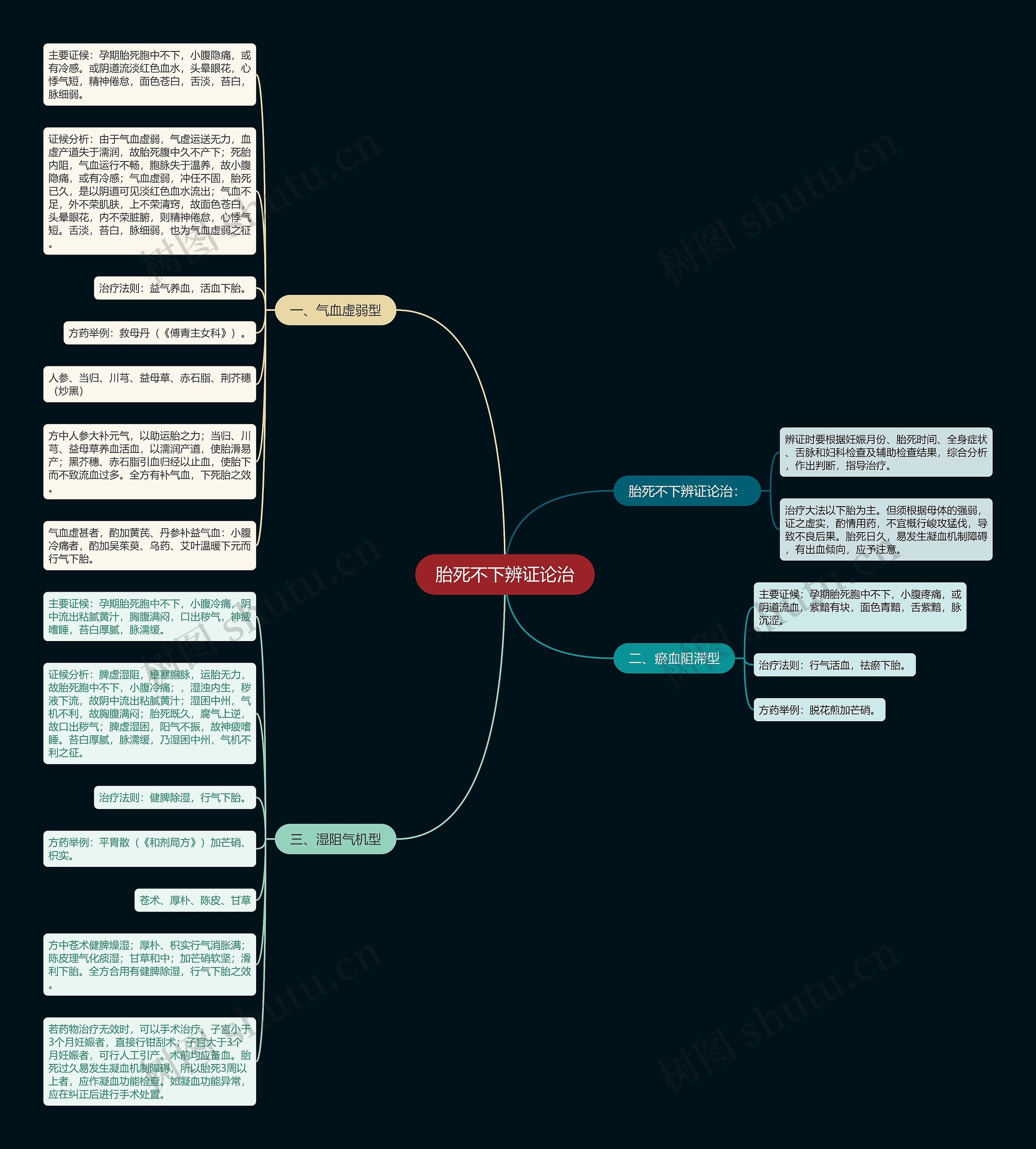 胎死不下辨证论治思维导图