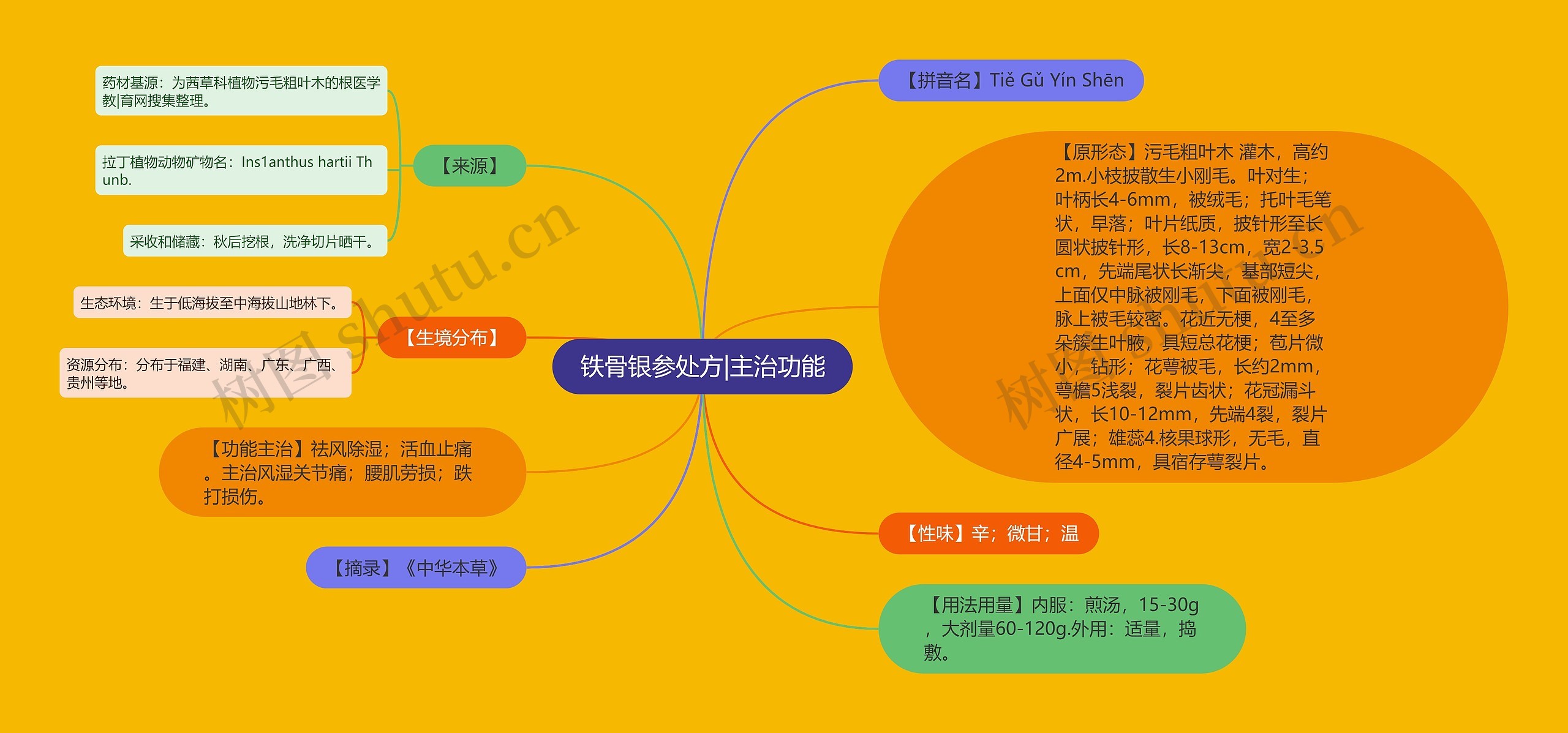 铁骨银参处方|主治功能思维导图