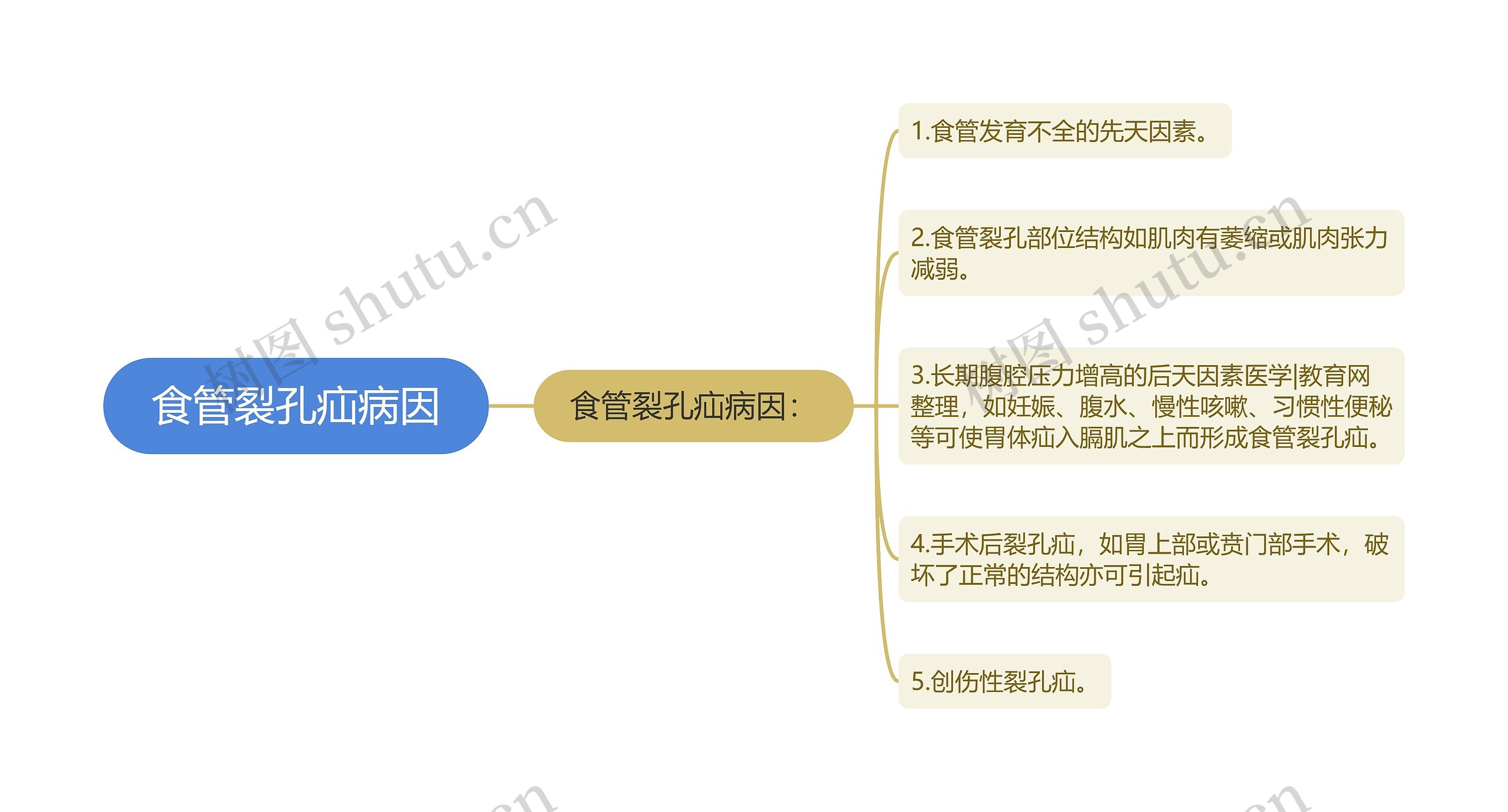 食管裂孔疝病因思维导图