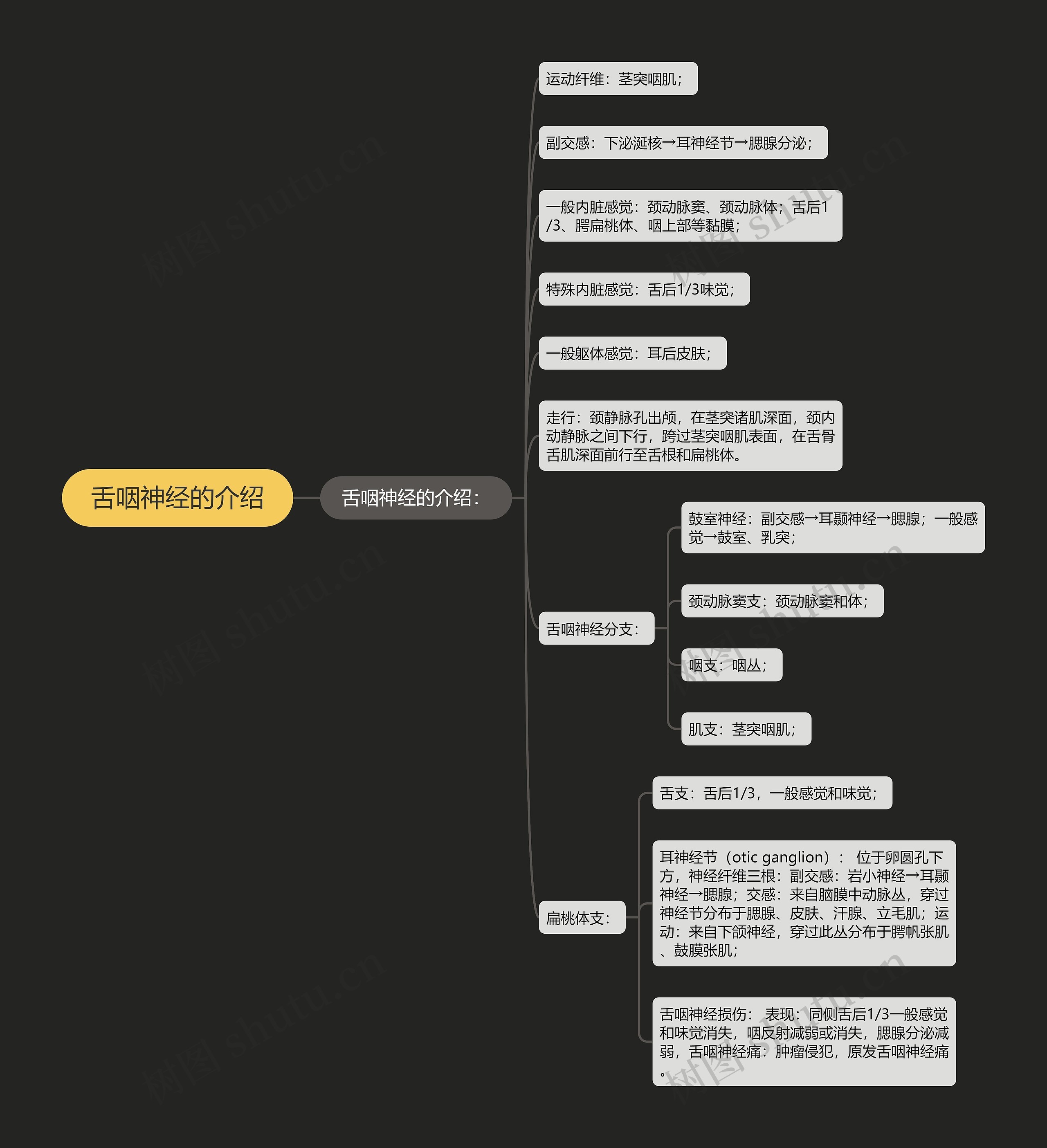 舌咽神经的介绍思维导图