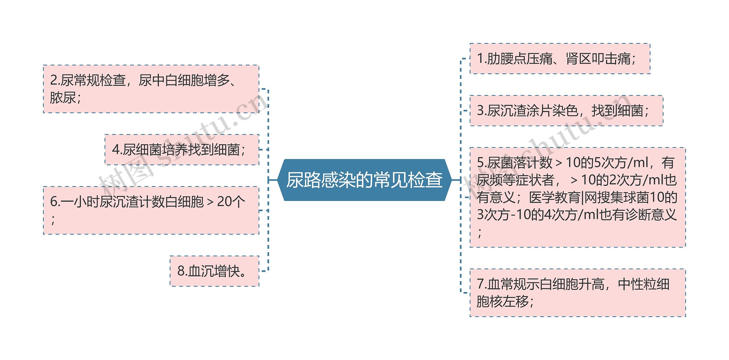 尿路感染的常见检查