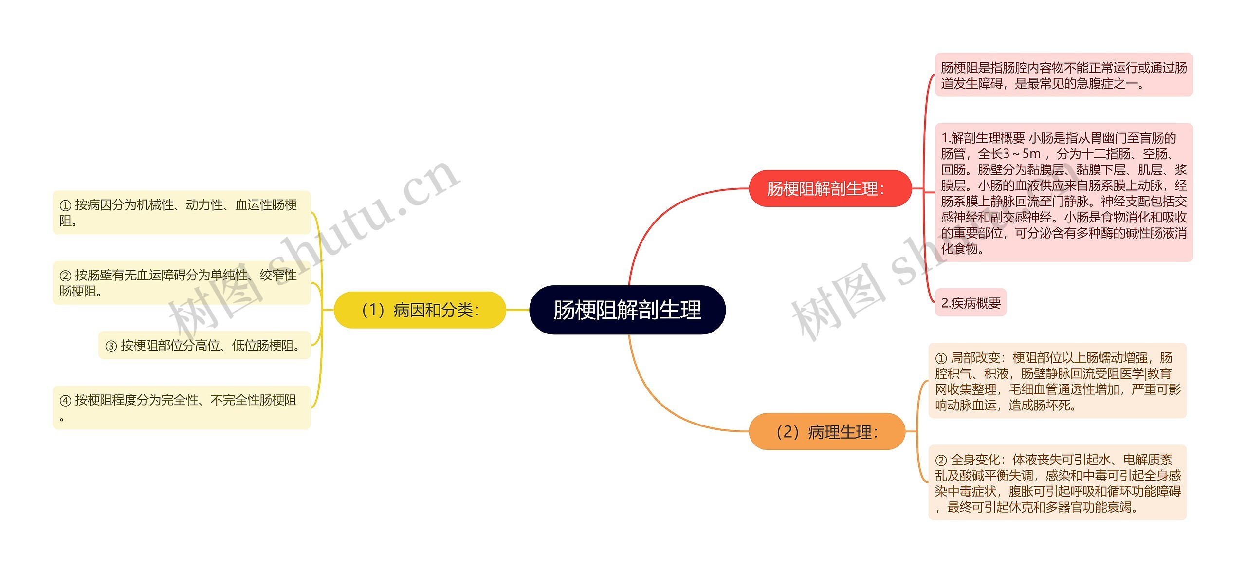 肠梗阻解剖生理思维导图