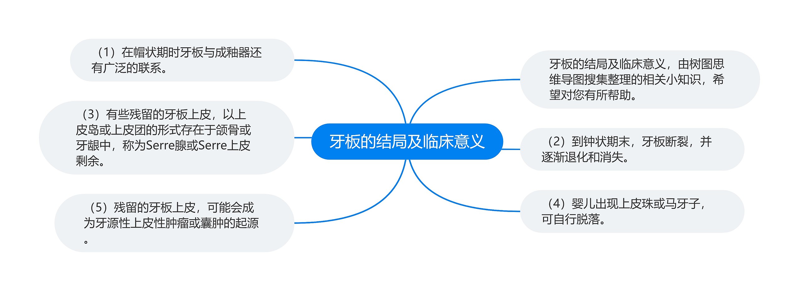 牙板的结局及临床意义 牙板的结局及临床意义