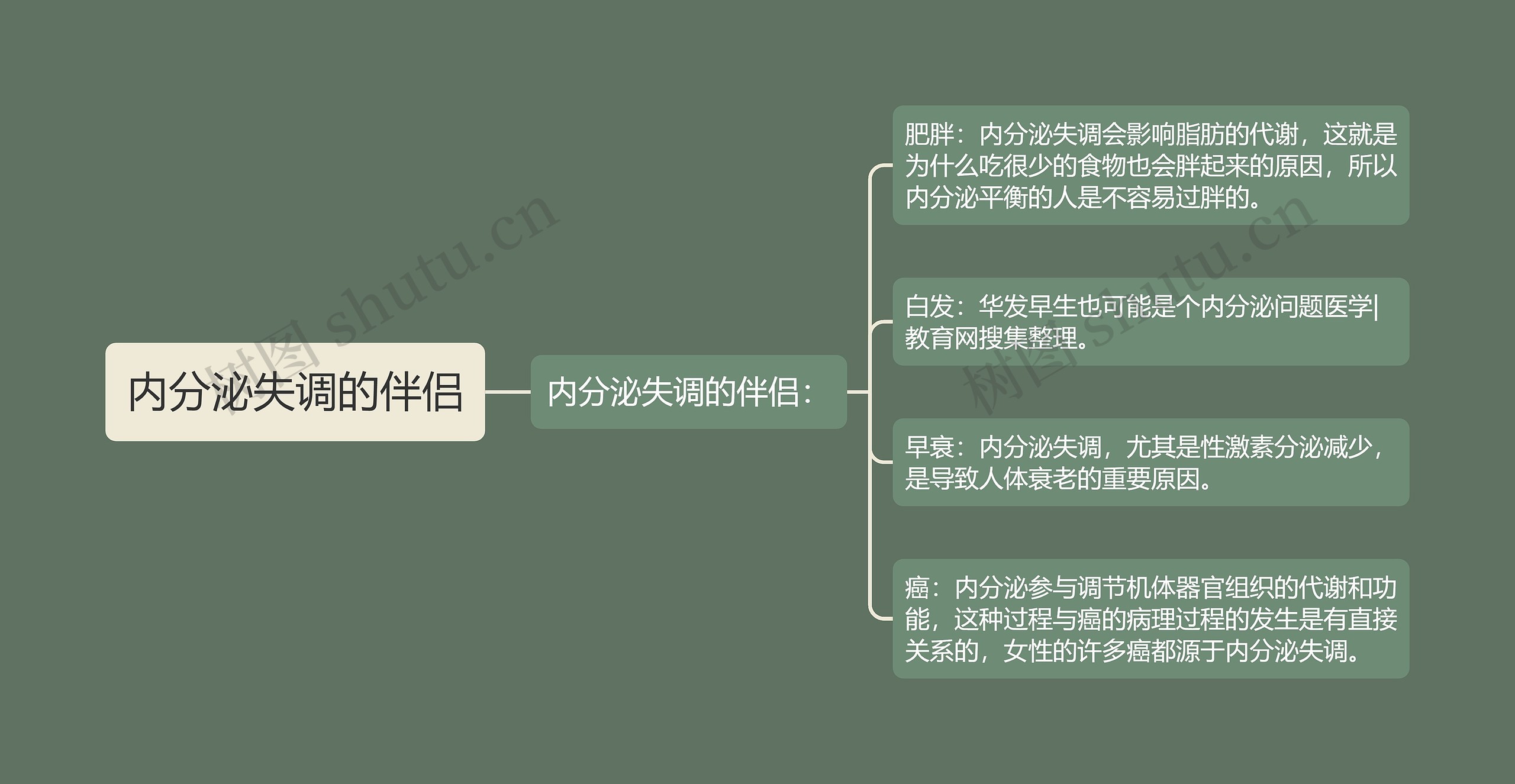 内分泌失调的伴侣 内分泌失调的伴侣