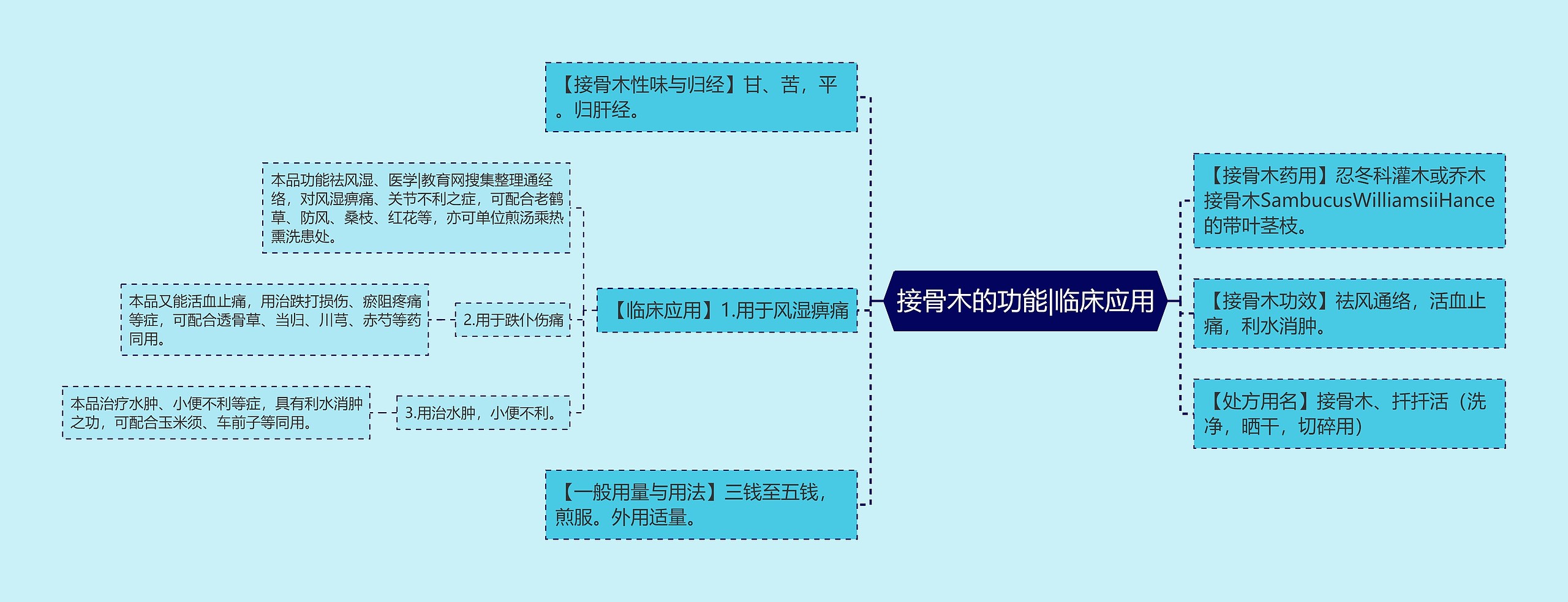 接骨木的功能|临床应用