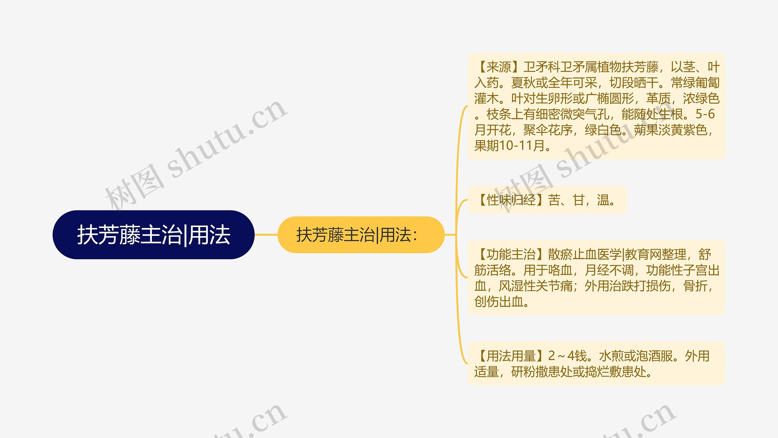 扶芳藤主治|用法思维导图