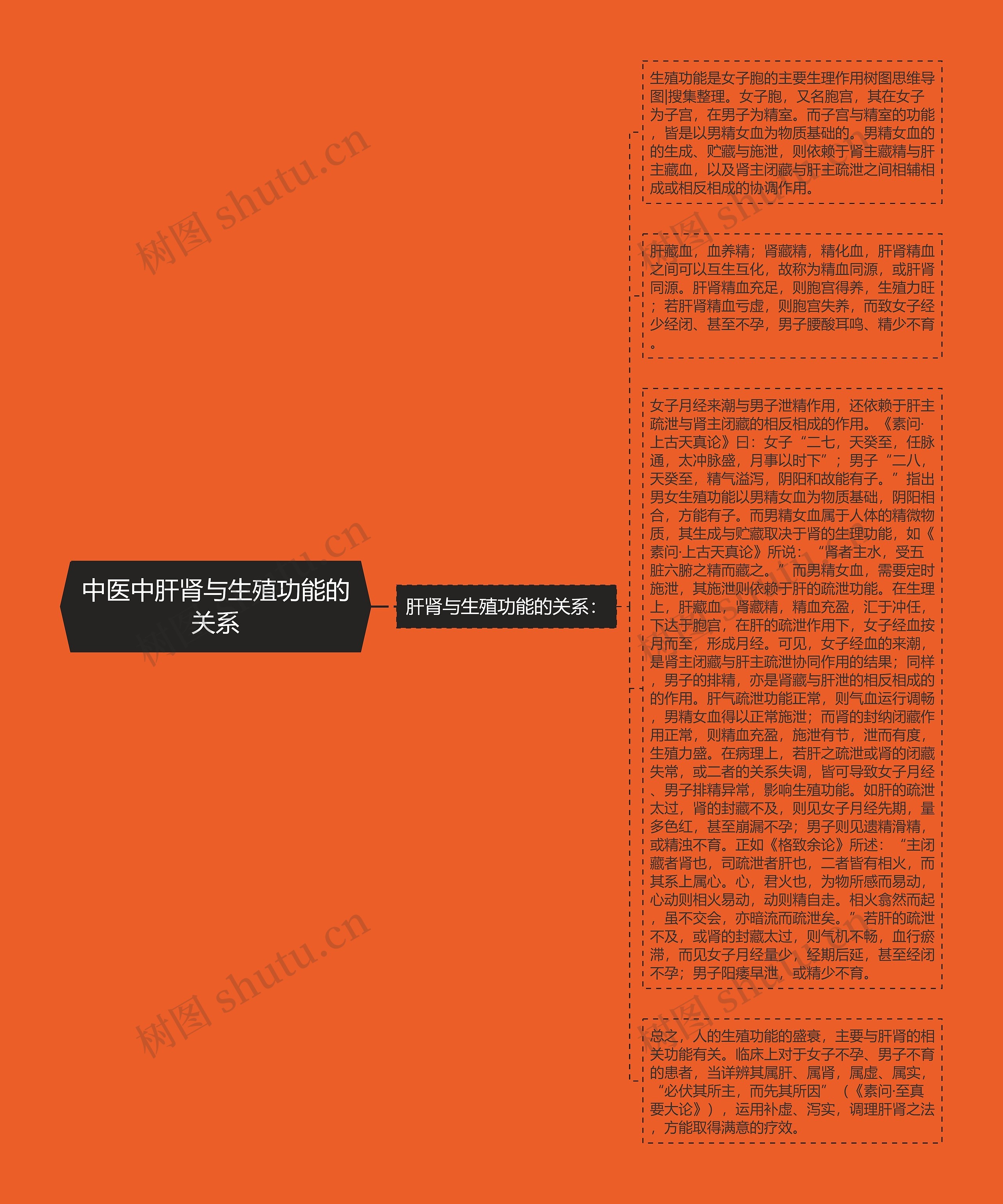 中医中肝肾与生殖功能的关系