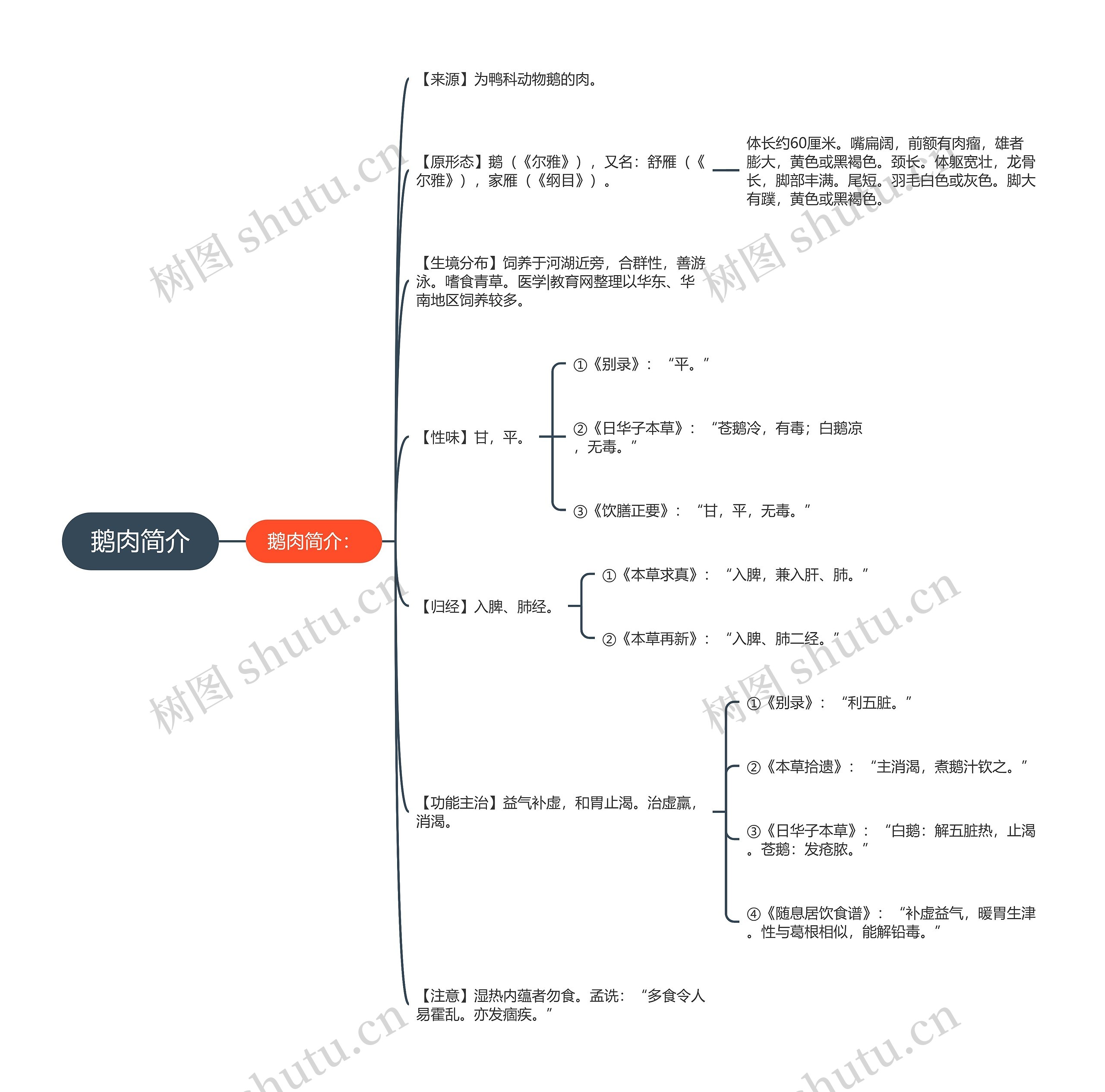 鹅肉简介思维导图