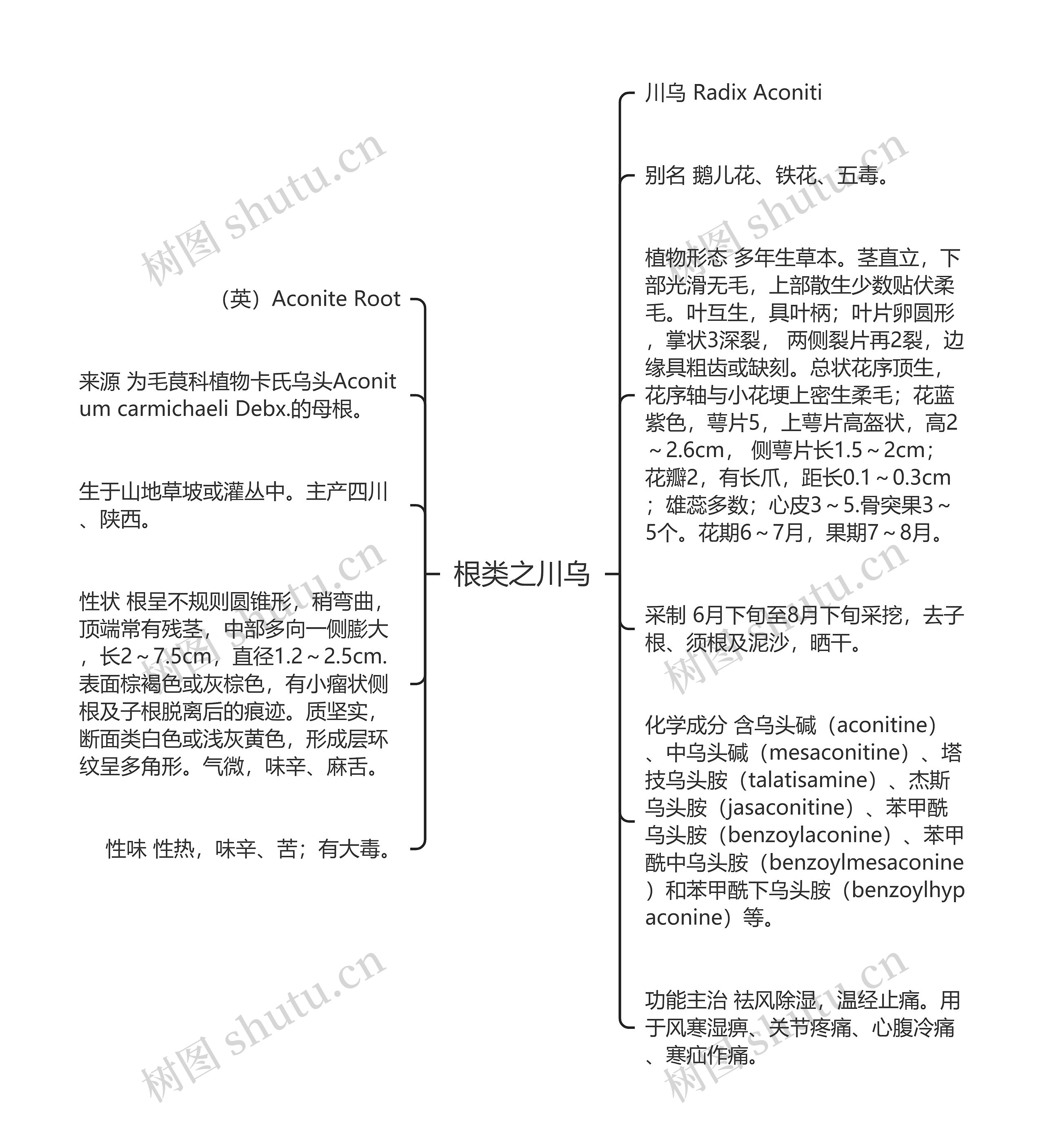 根类之川乌 根类之川乌