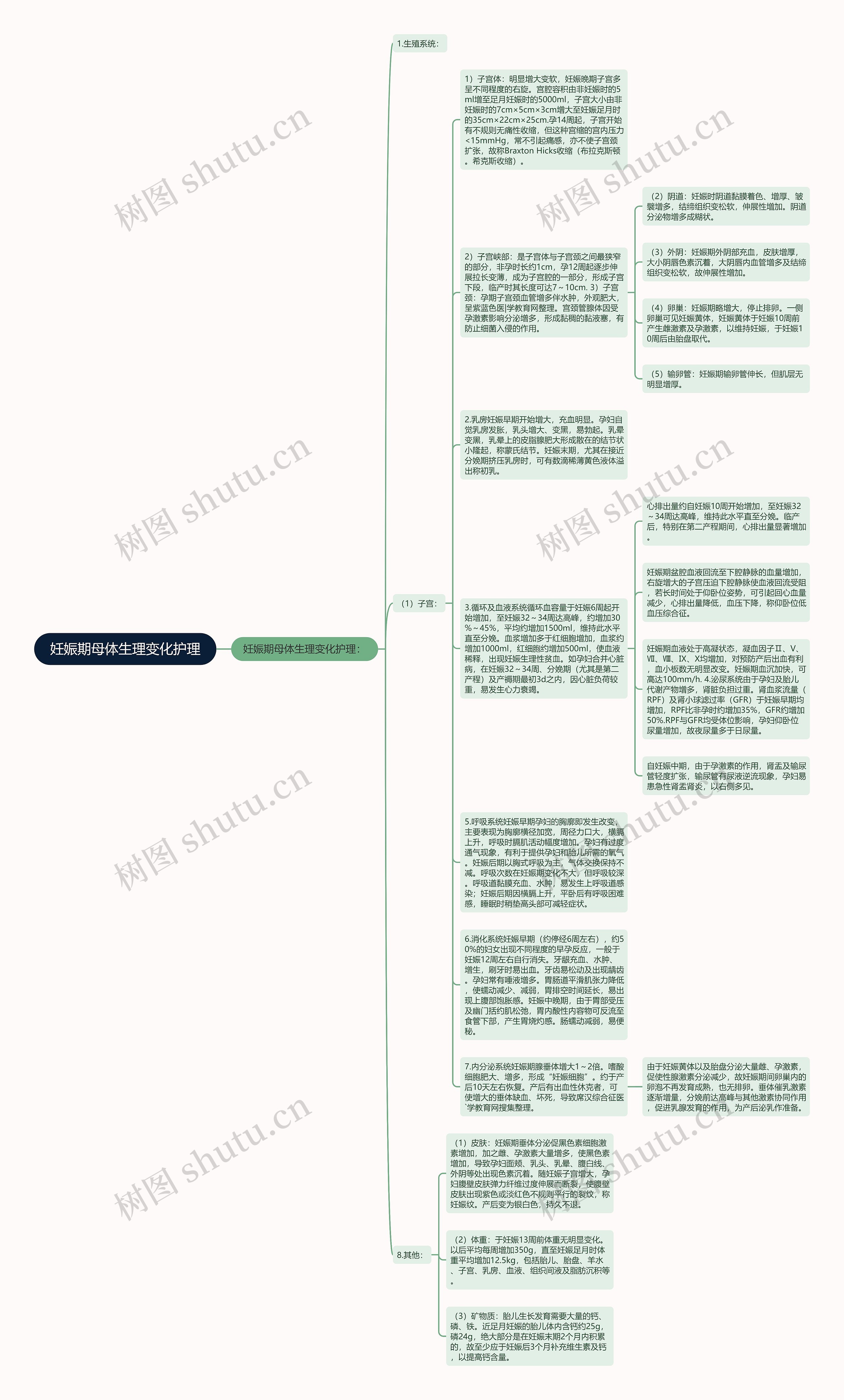 妊娠期母体生理变化护理思维导图