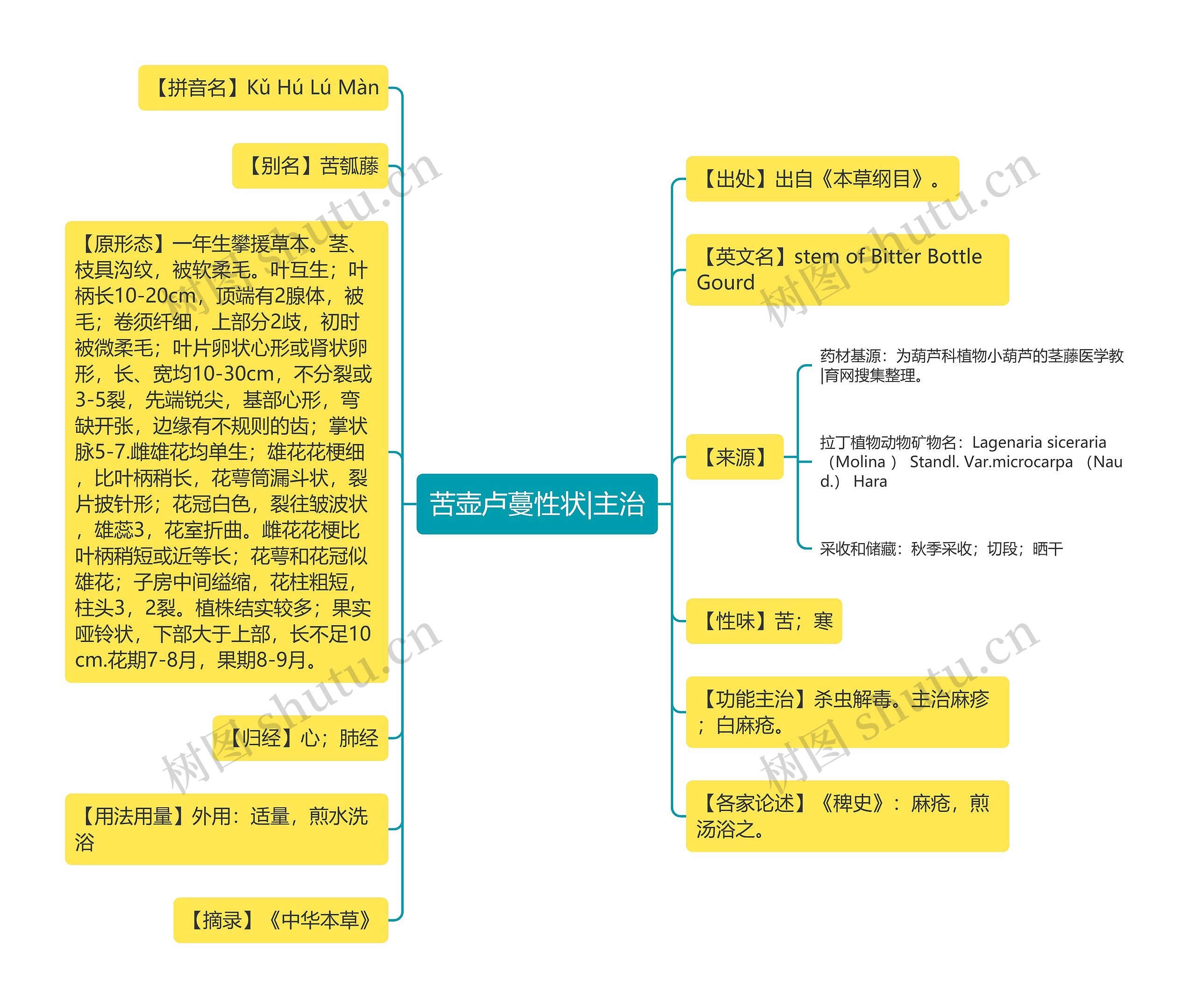 苦壶卢蔓性状|主治思维导图