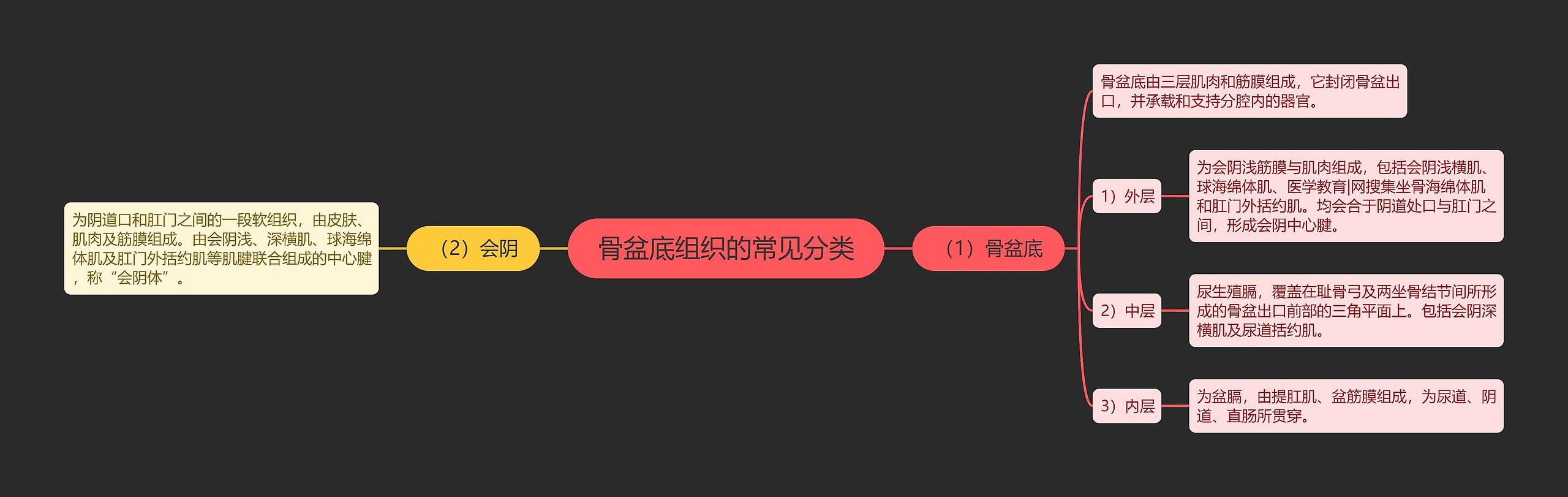 骨盆底组织的常见分类 骨盆底组织的常见分类