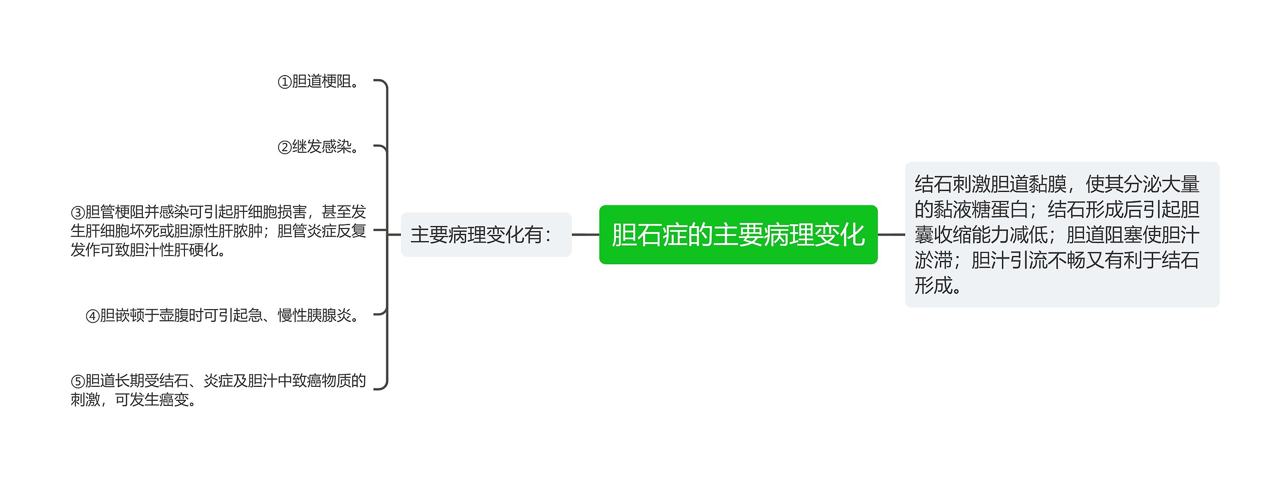 胆石症的主要病理变化思维导图