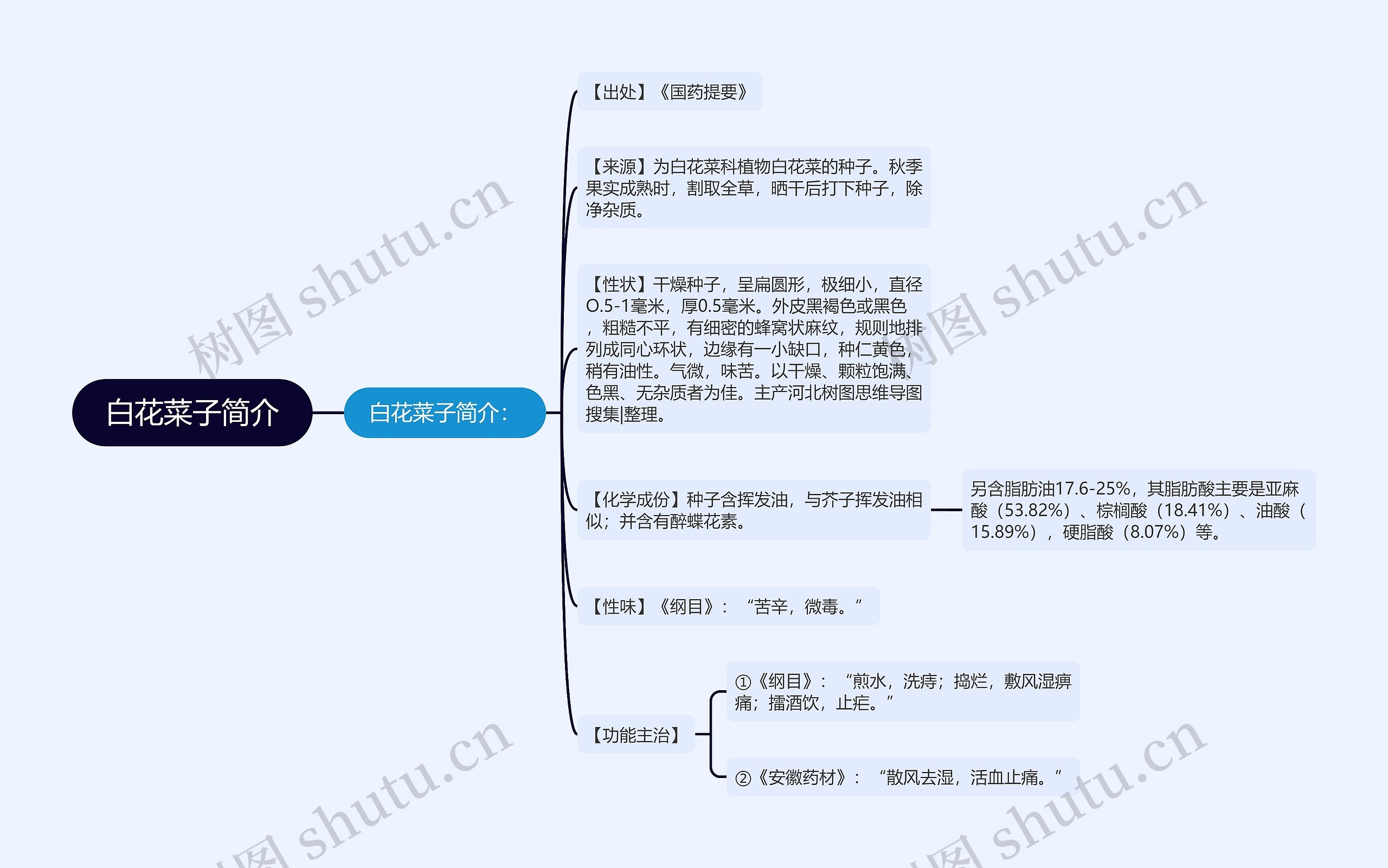 白花菜子简介思维导图