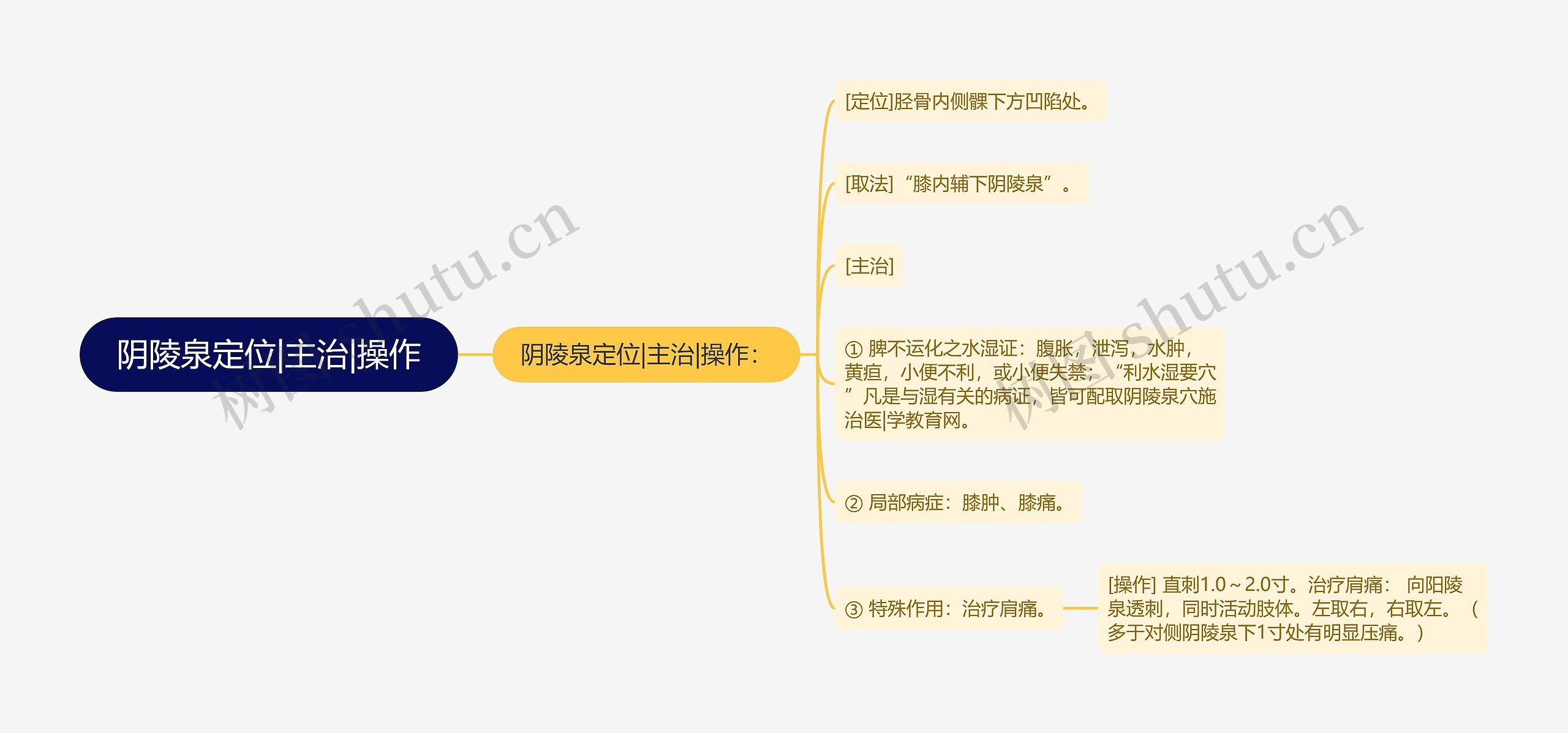 阴陵泉定位|主治|操作