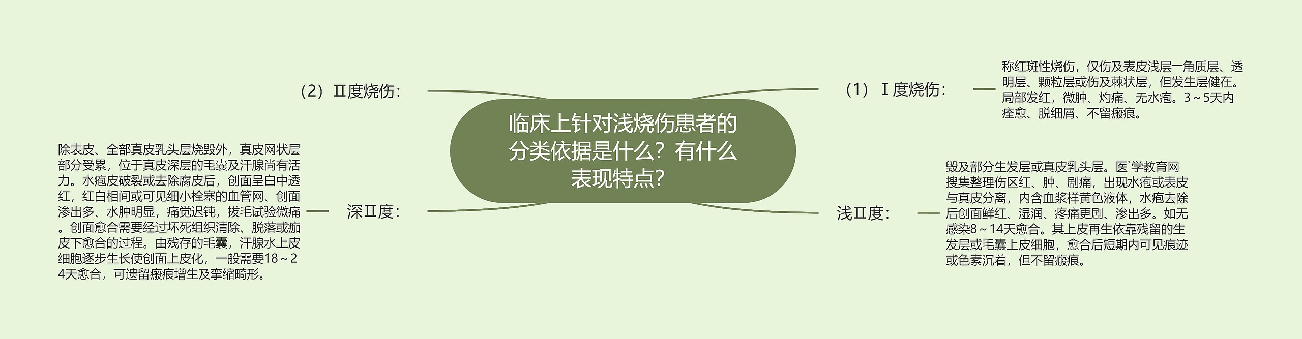 临床上针对浅烧伤患者的分类依据是什么？有什么表现特点？思维导图