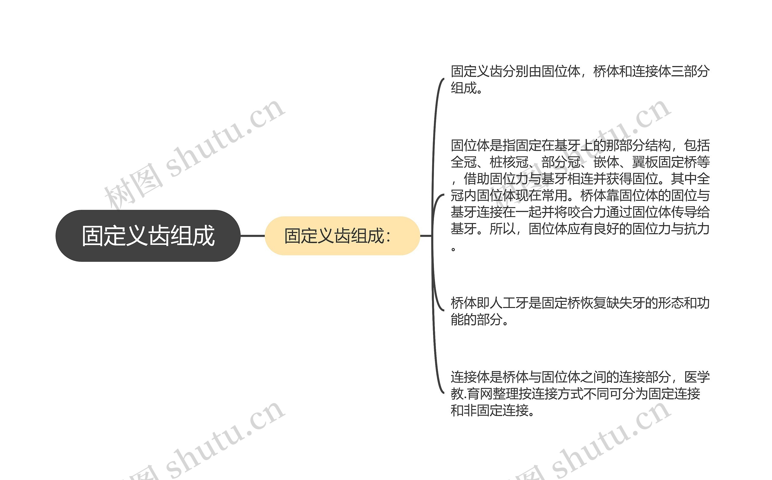 固定义齿组成