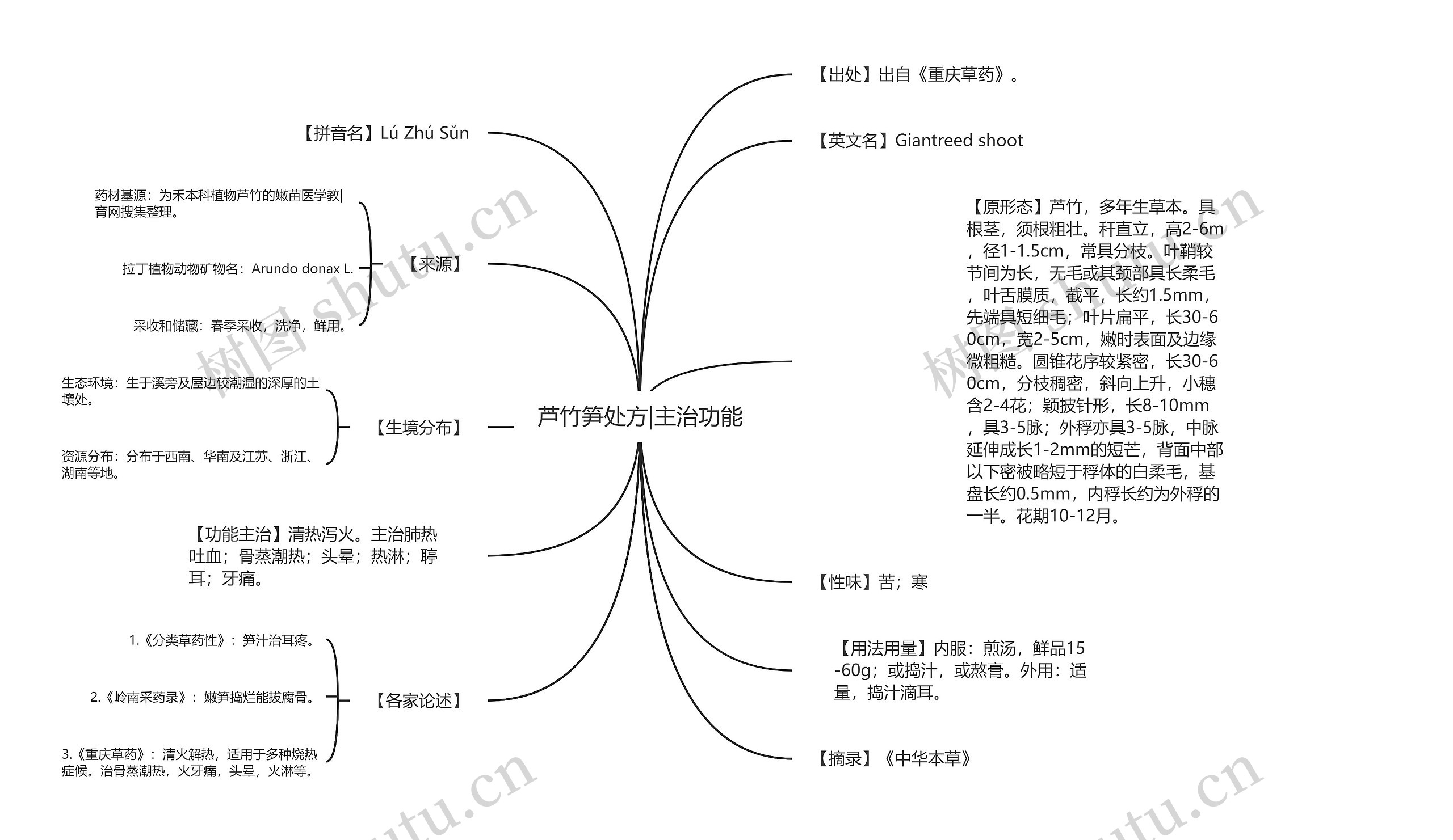 芦竹笋处方|主治功能思维导图