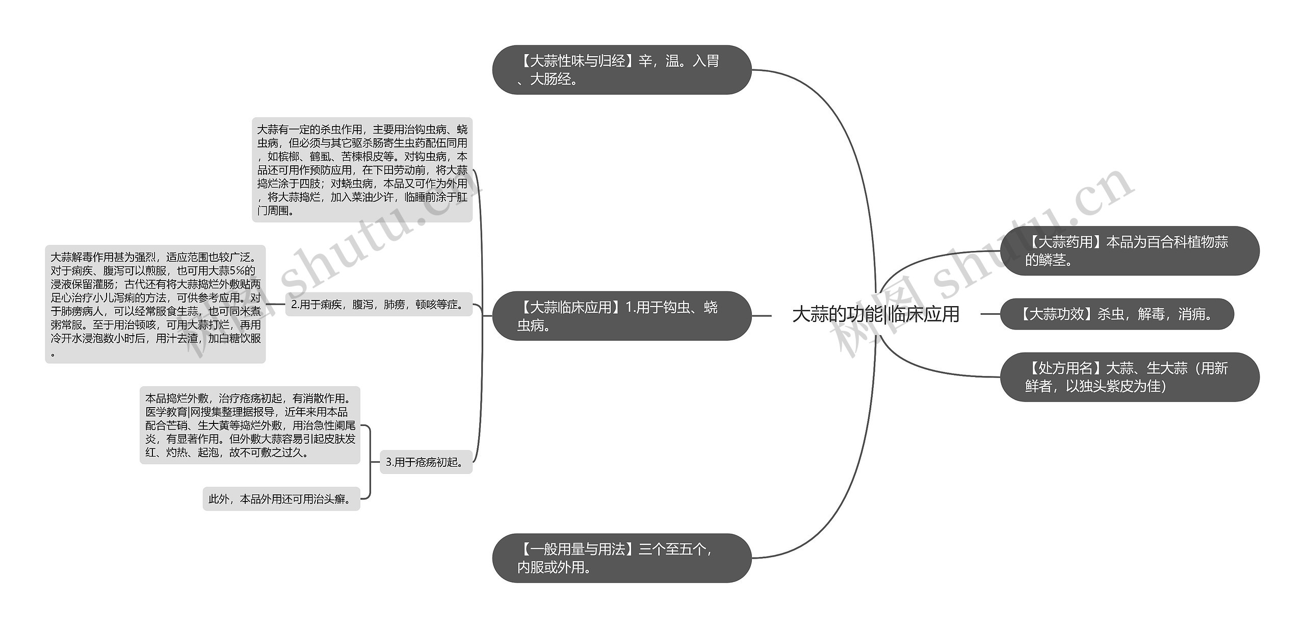 大蒜的功能|临床应用