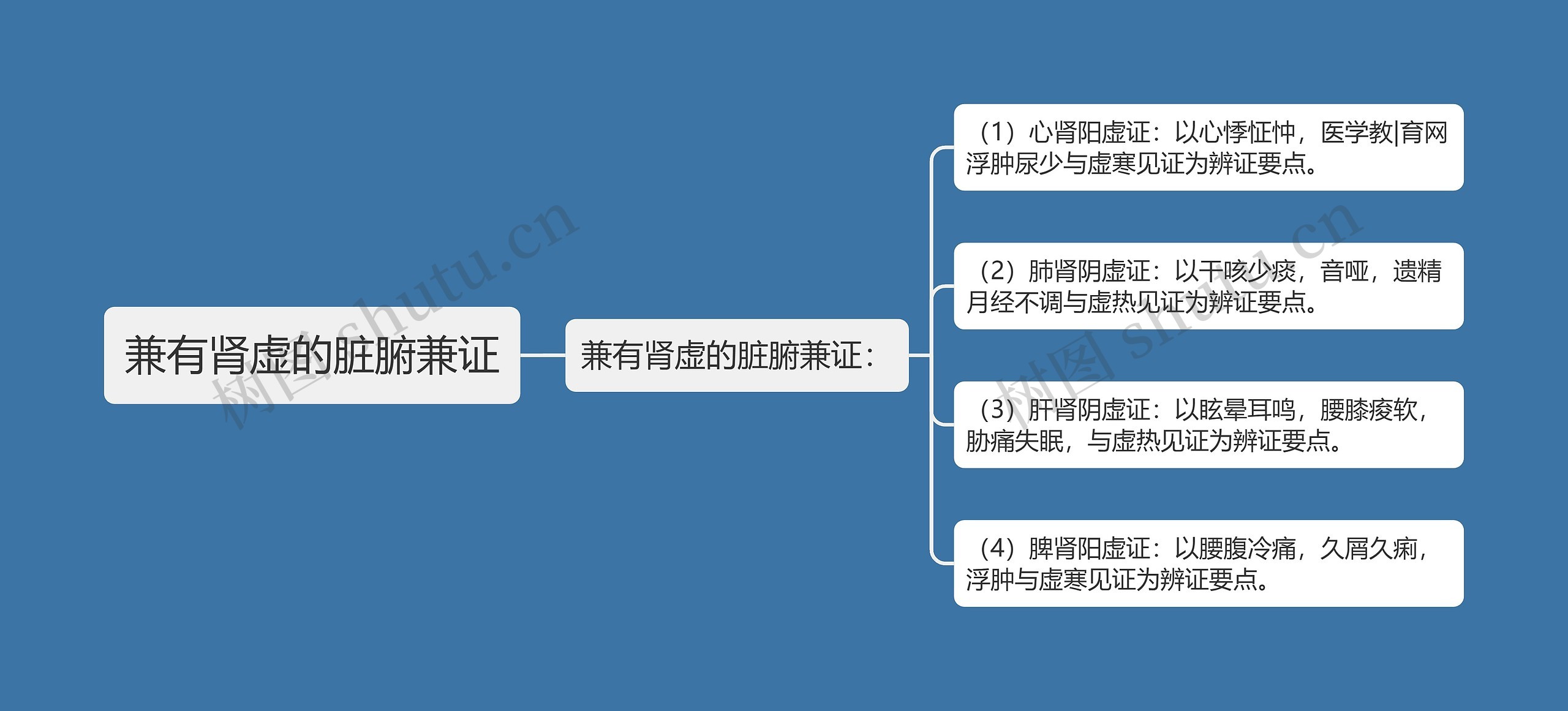 兼有肾虚的脏腑兼证思维导图