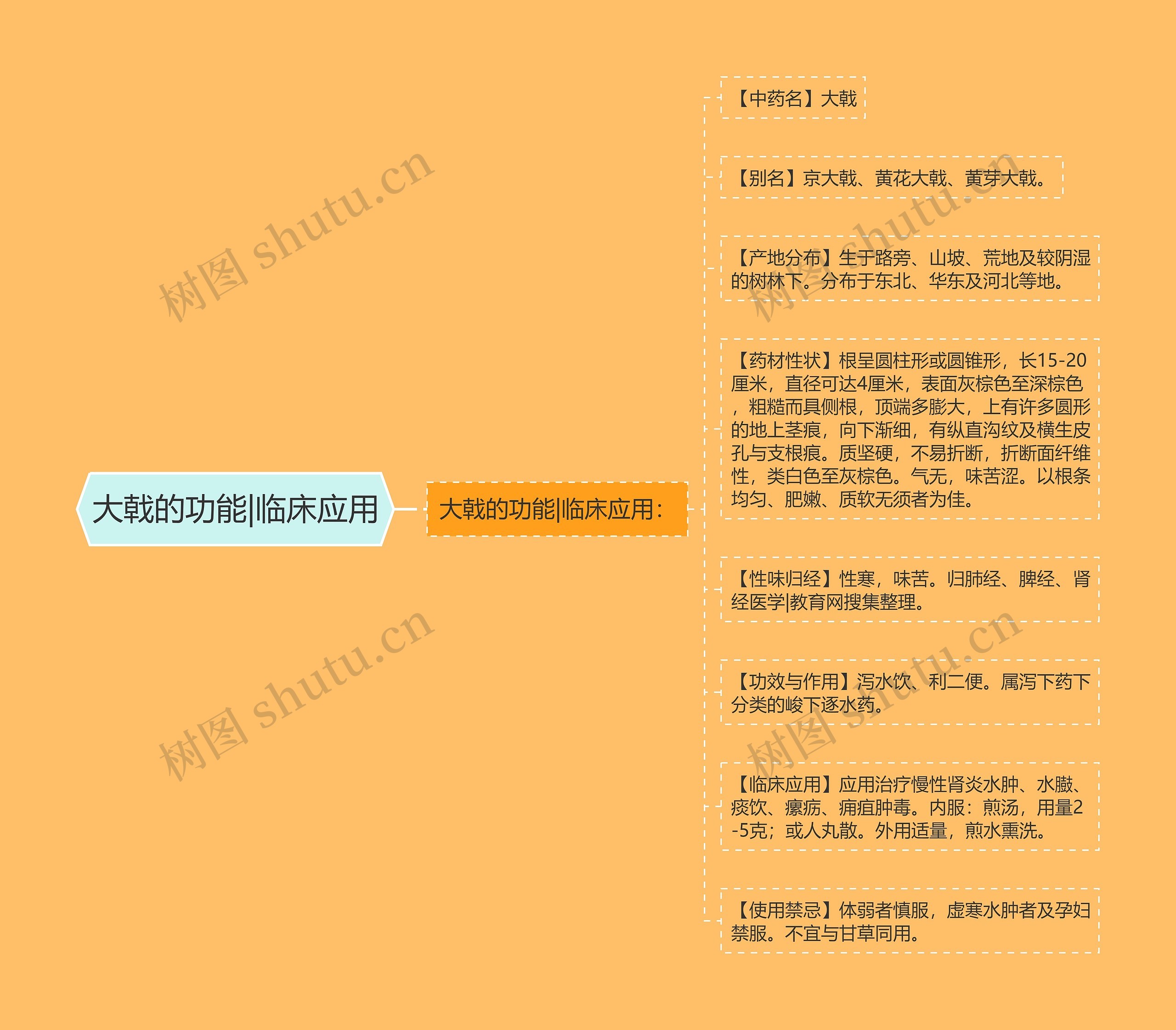 大戟的功能|临床应用思维导图