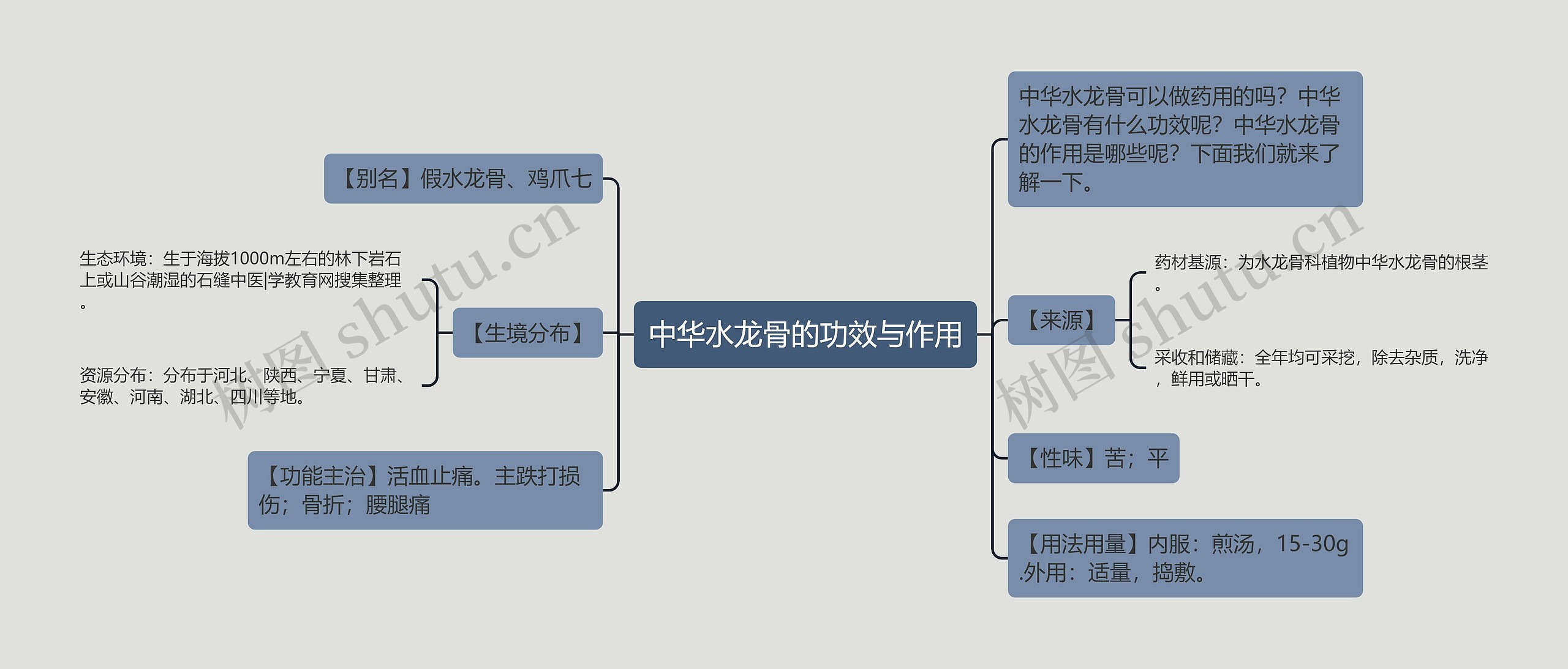 中华水龙骨的功效与作用思维导图