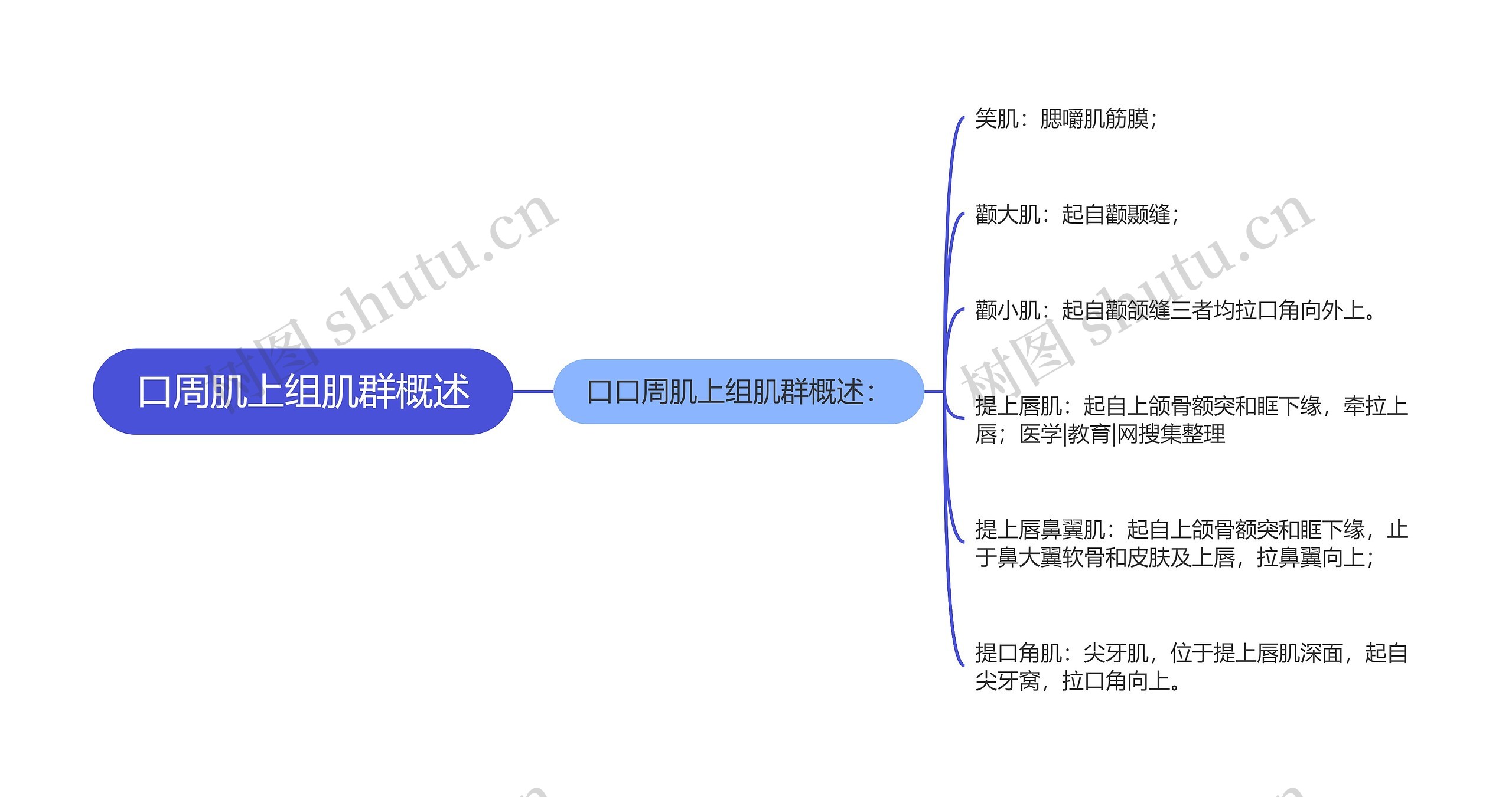 口周肌上组肌群概述思维导图