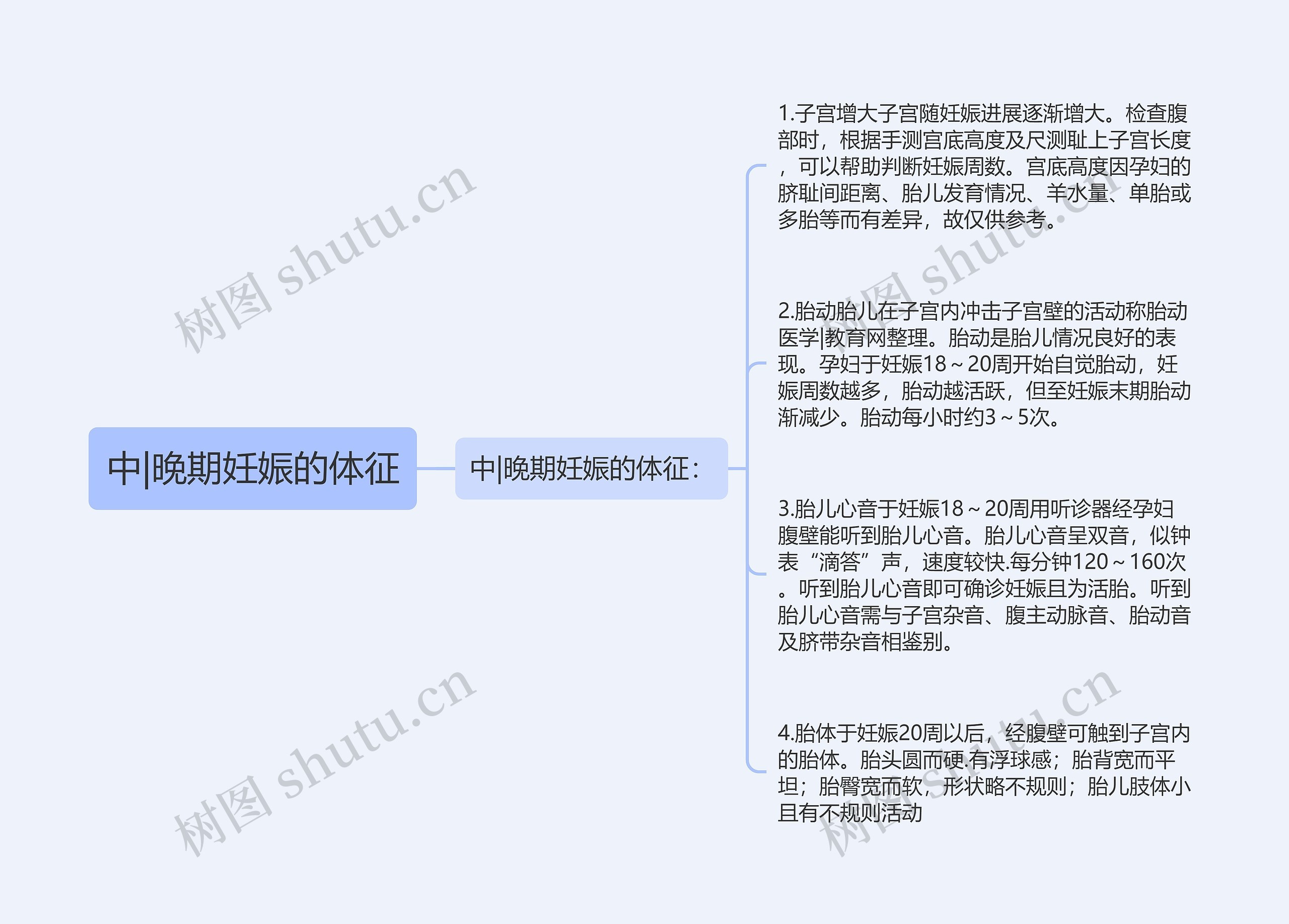 中|晚期妊娠的体征思维导图