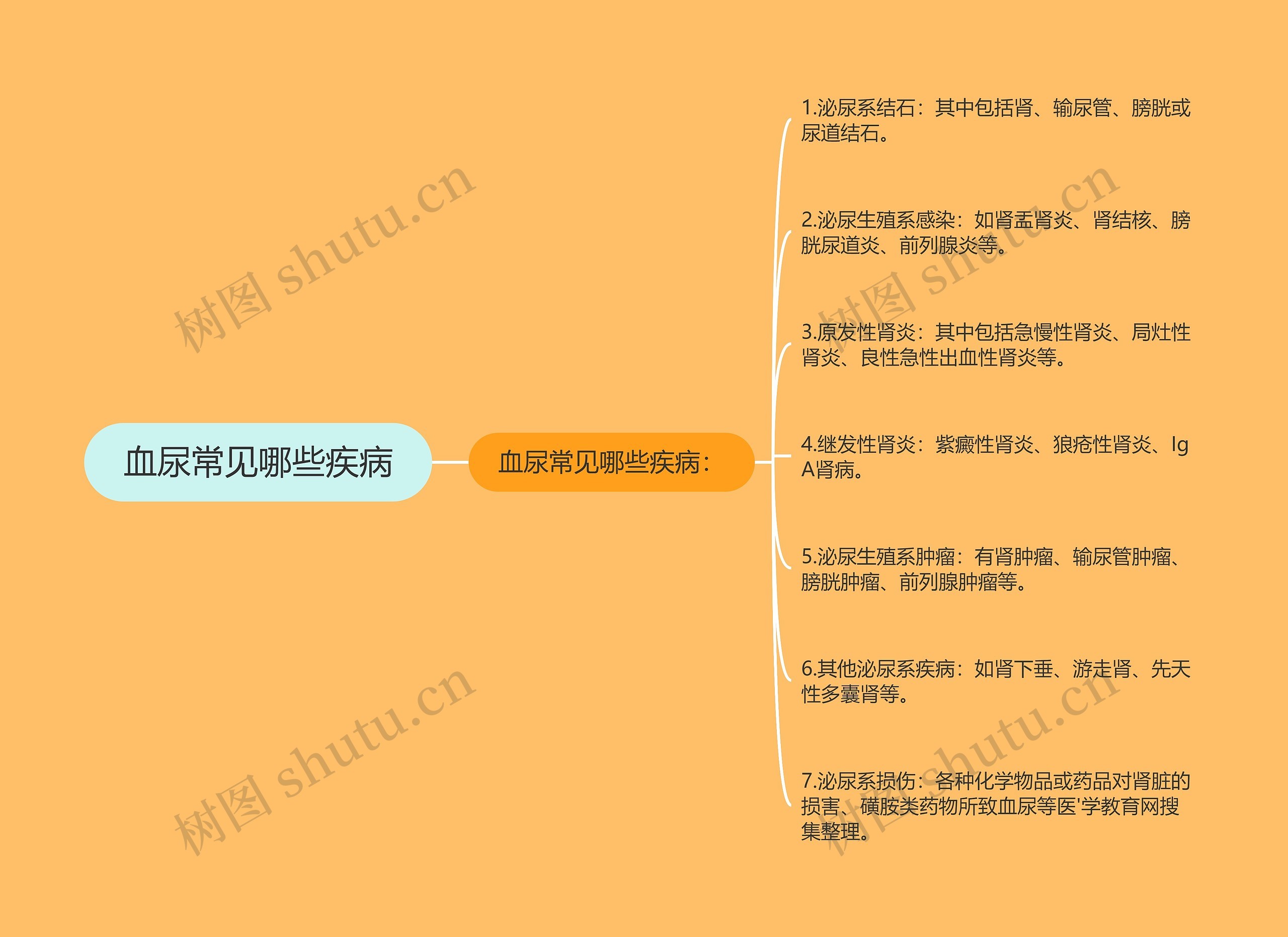 血尿常见哪些疾病