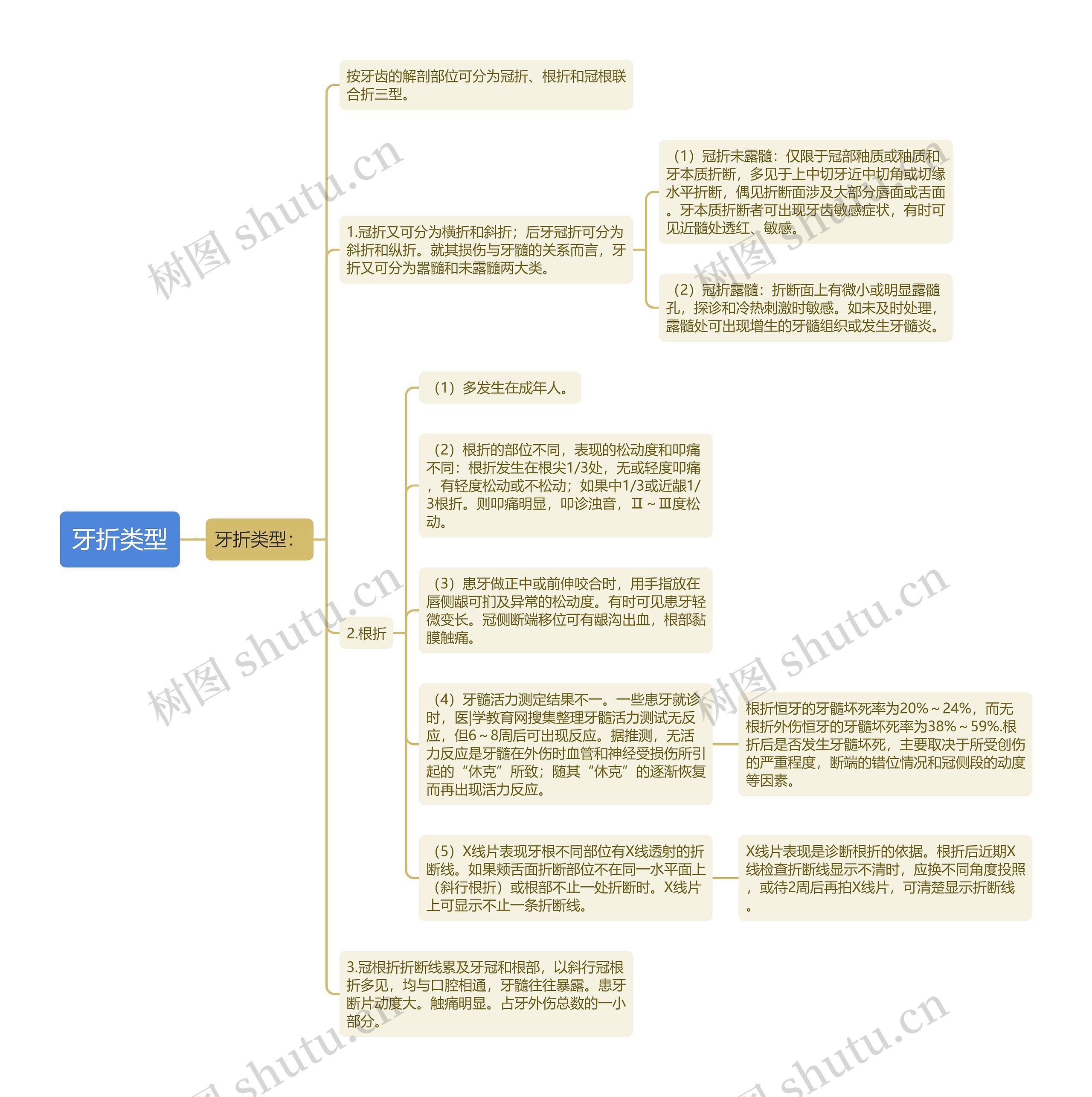 牙折类型 牙折类型