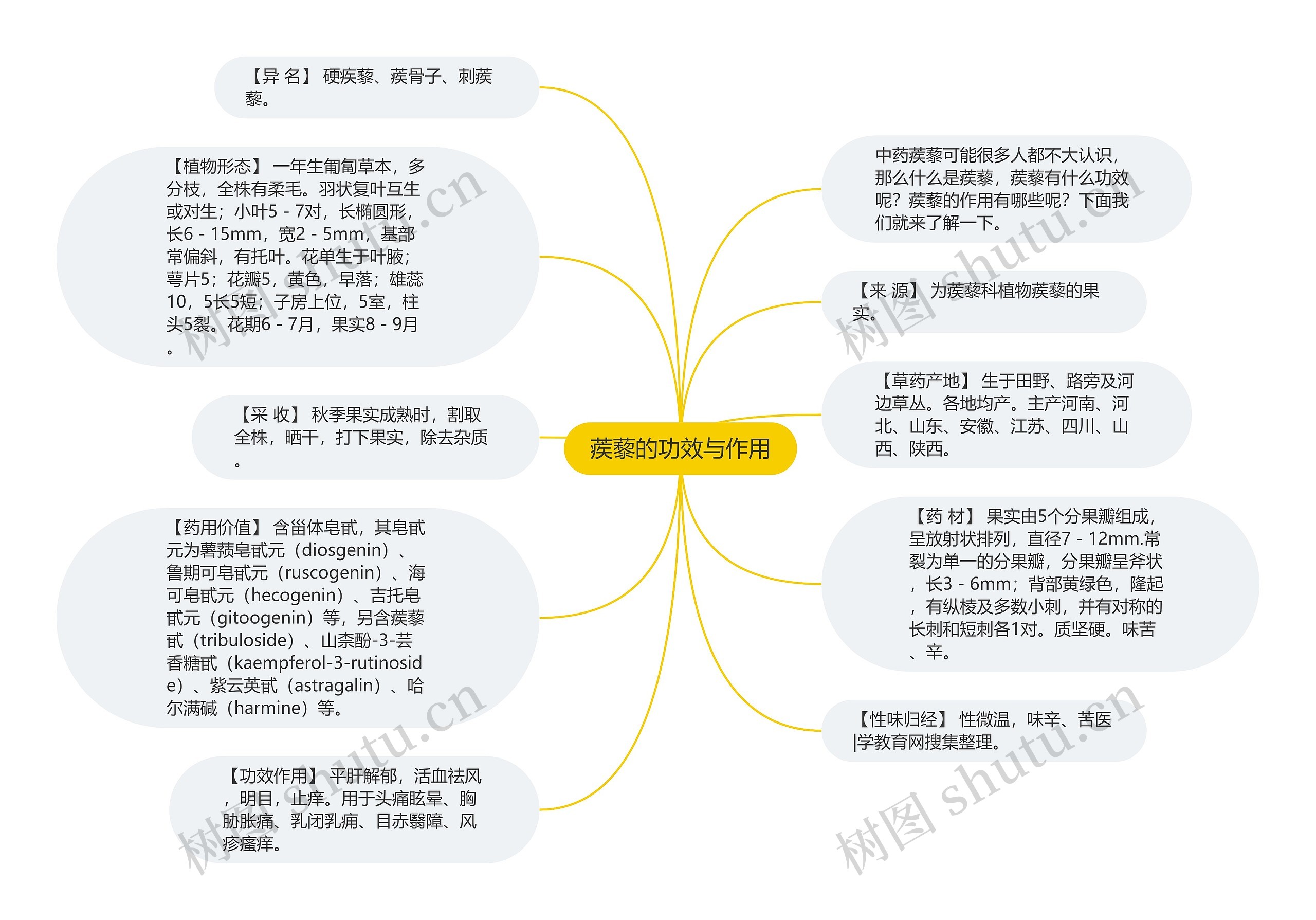 蒺藜的功效与作用思维导图