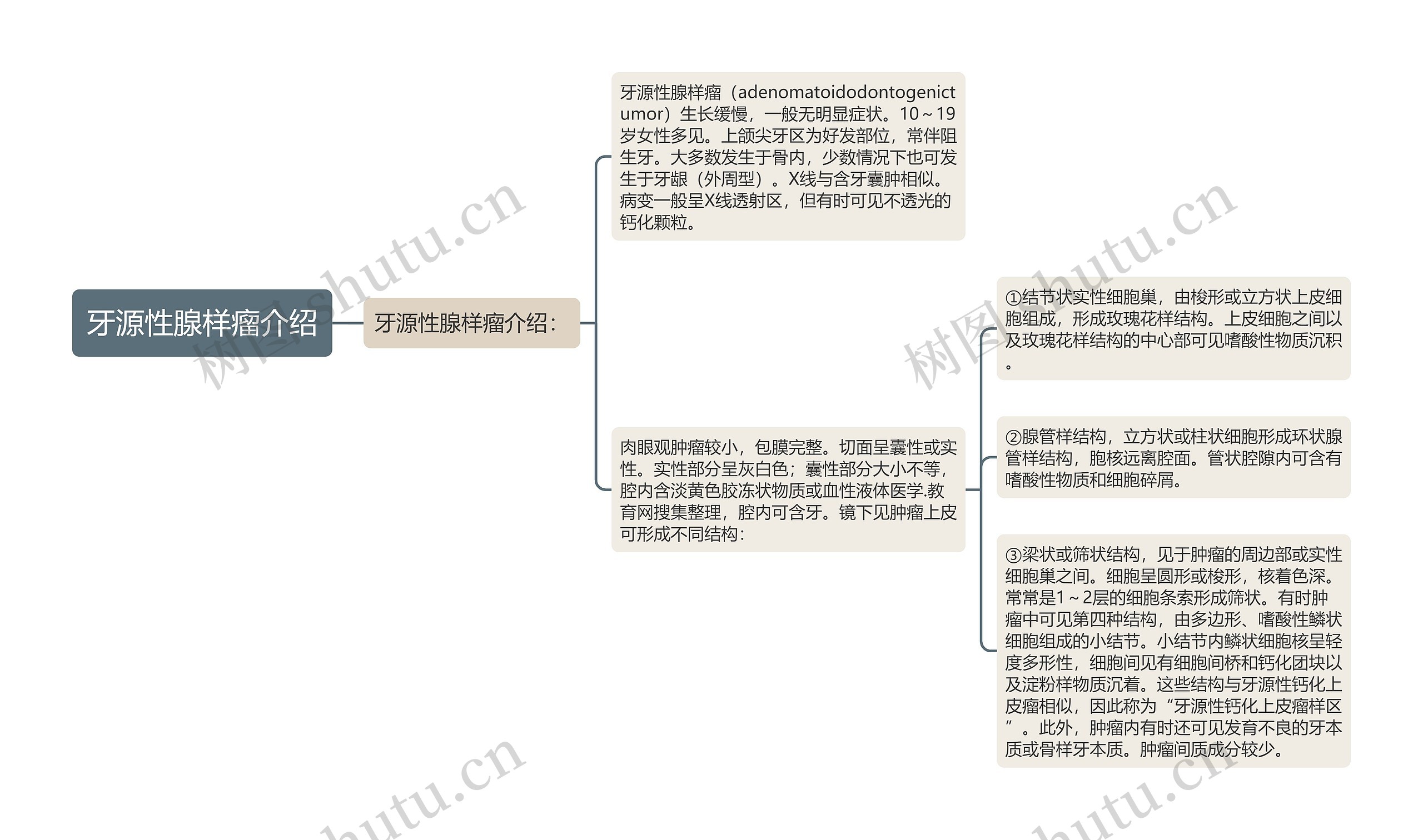 牙源性腺样瘤介绍思维导图