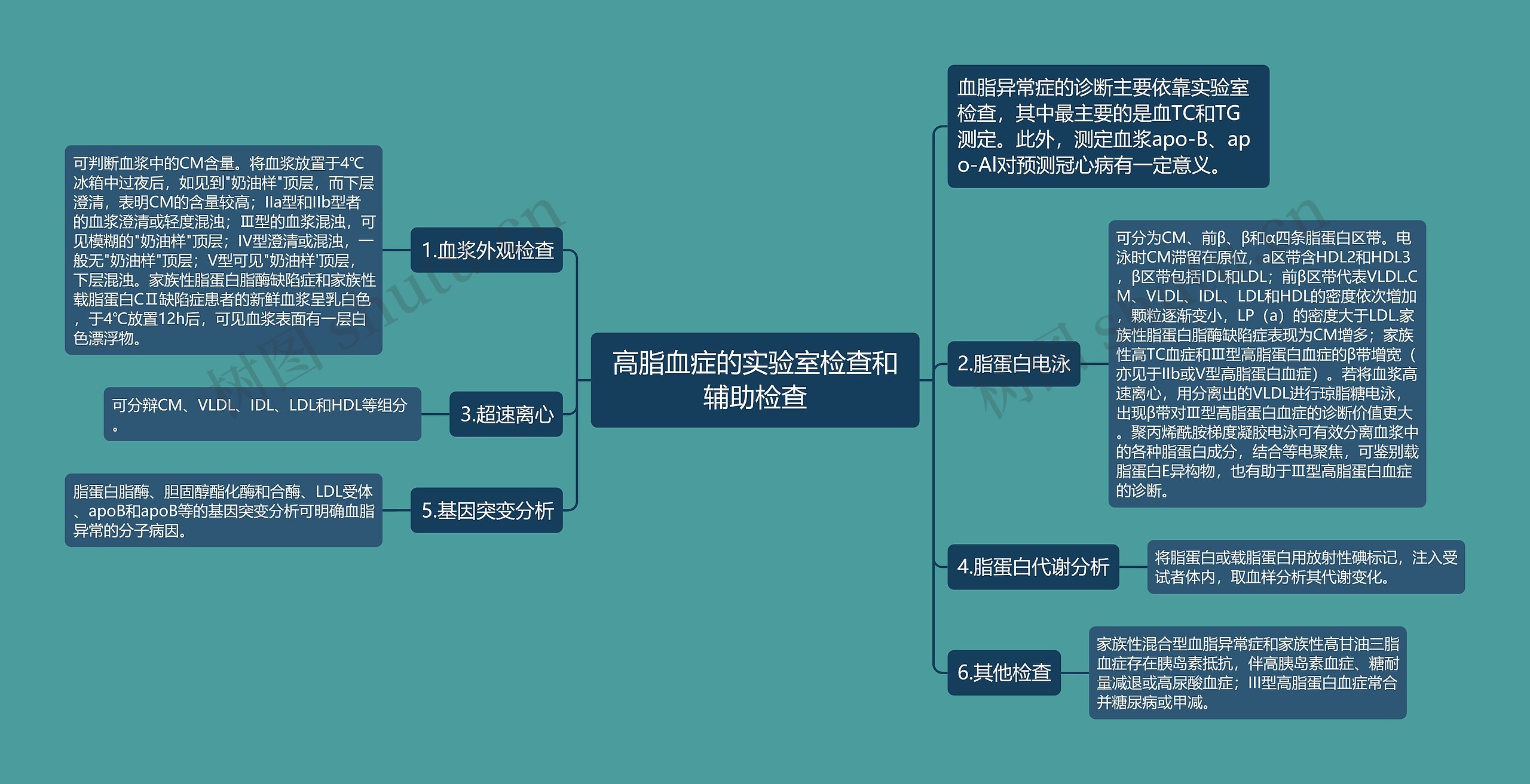 高脂血症的实验室检查和辅助检查思维导图