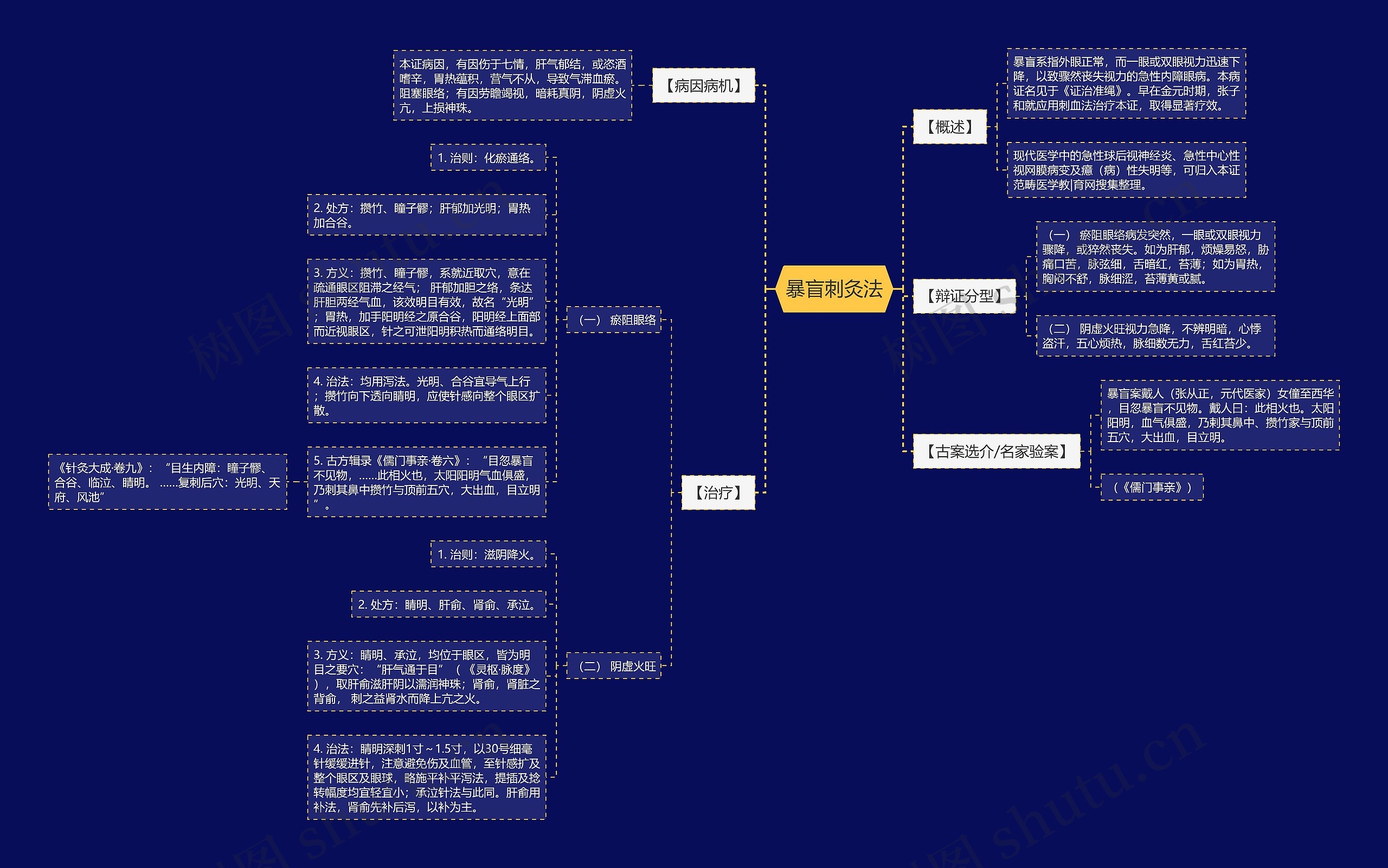暴盲刺灸法思维导图