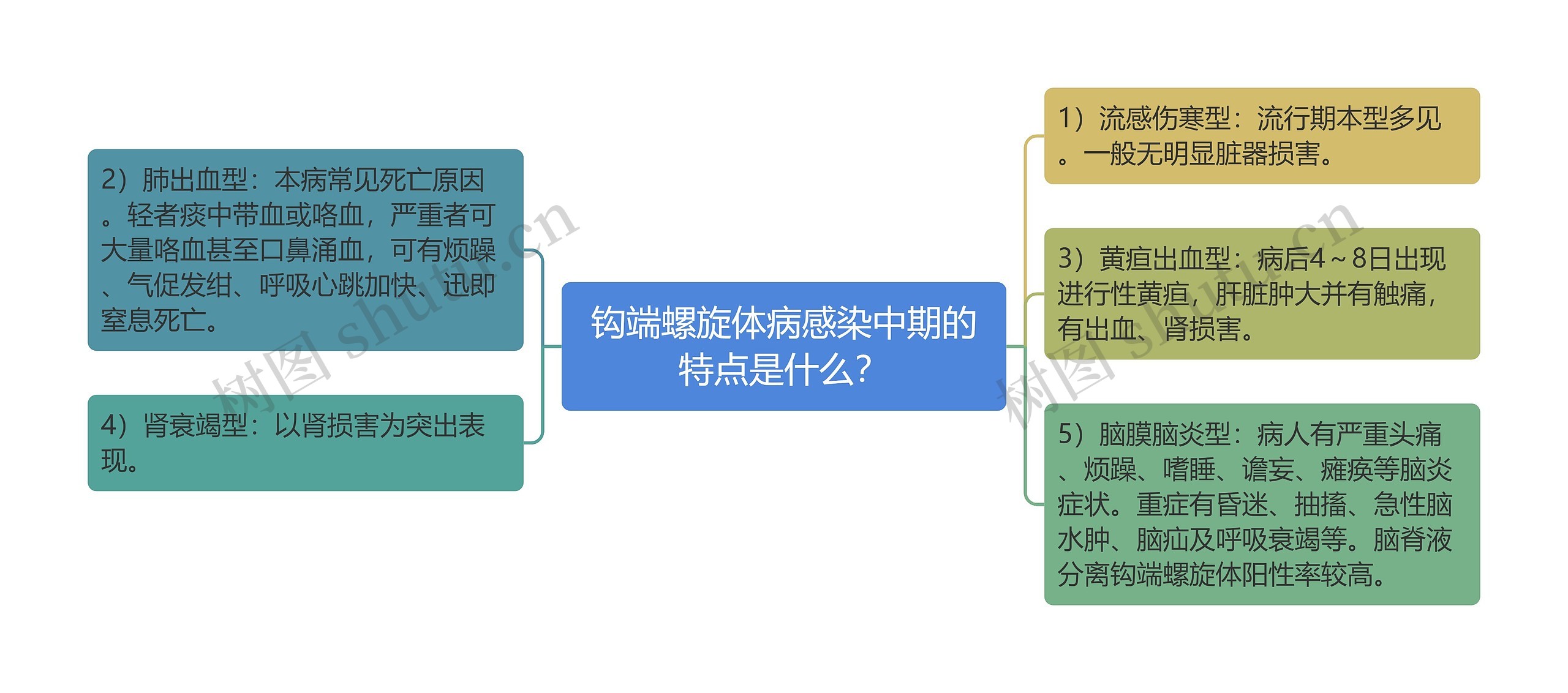 钩端螺旋体病感染中期的特点是什么？