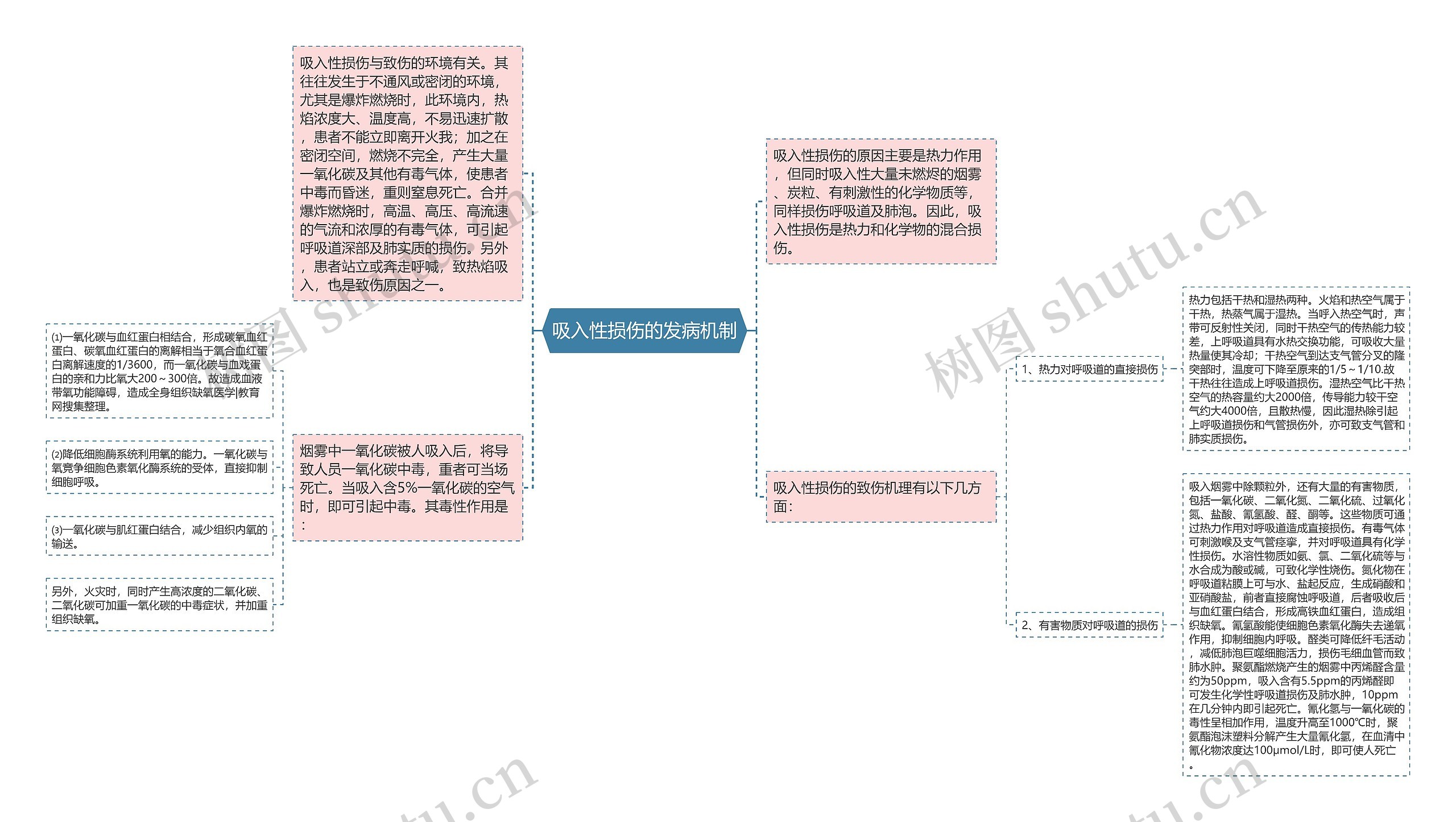 吸入性损伤的发病机制