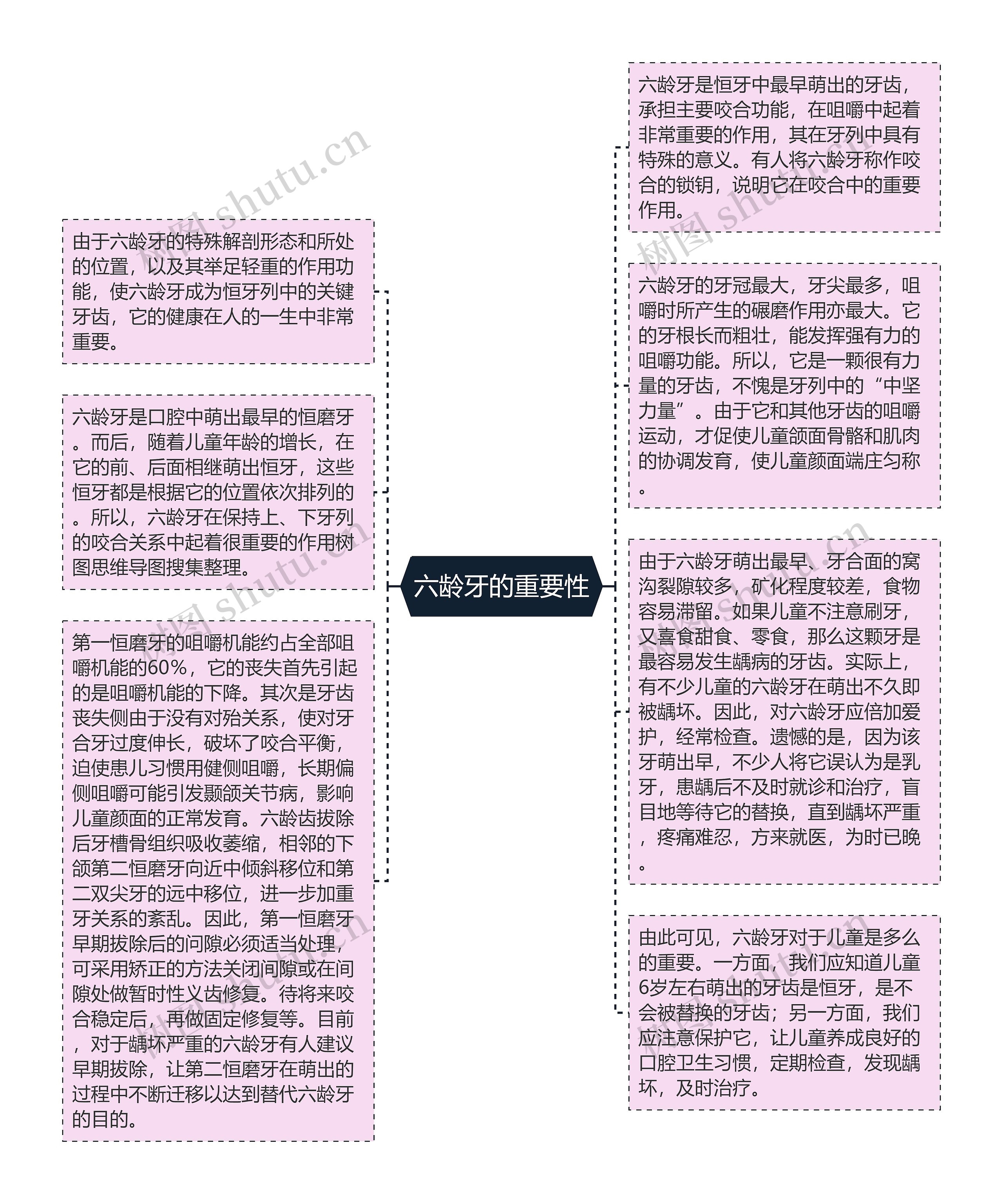 六龄牙的重要性思维导图