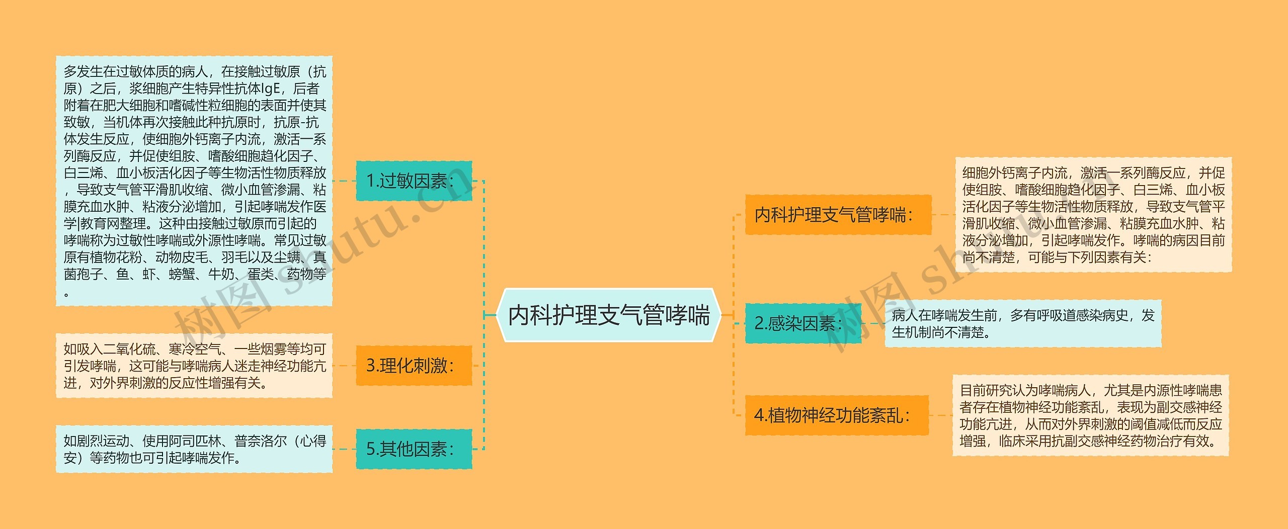 内科护理支气管哮喘