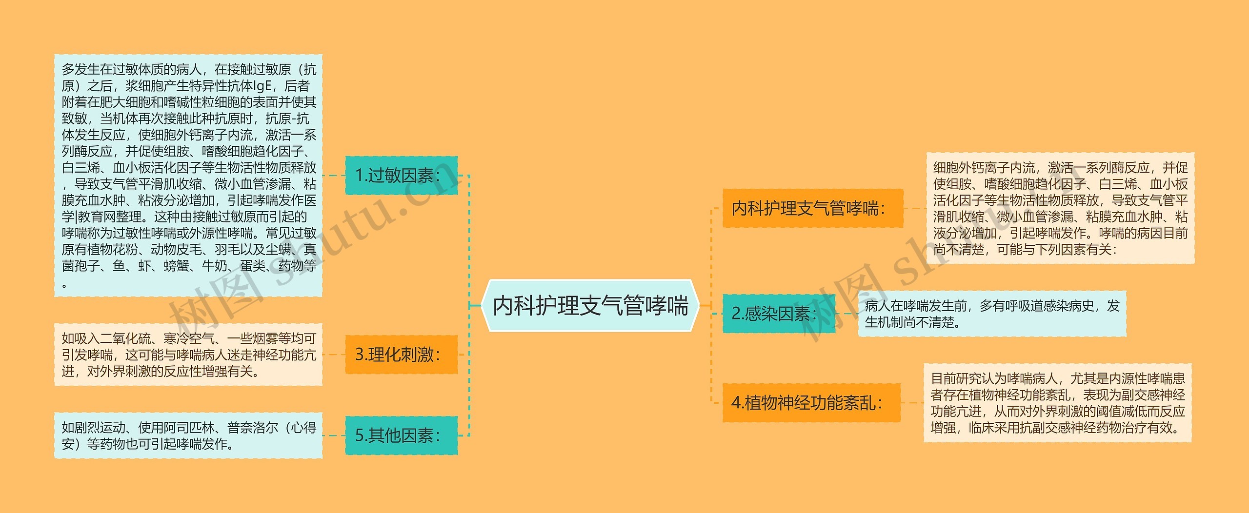 内科护理支气管哮喘思维导图