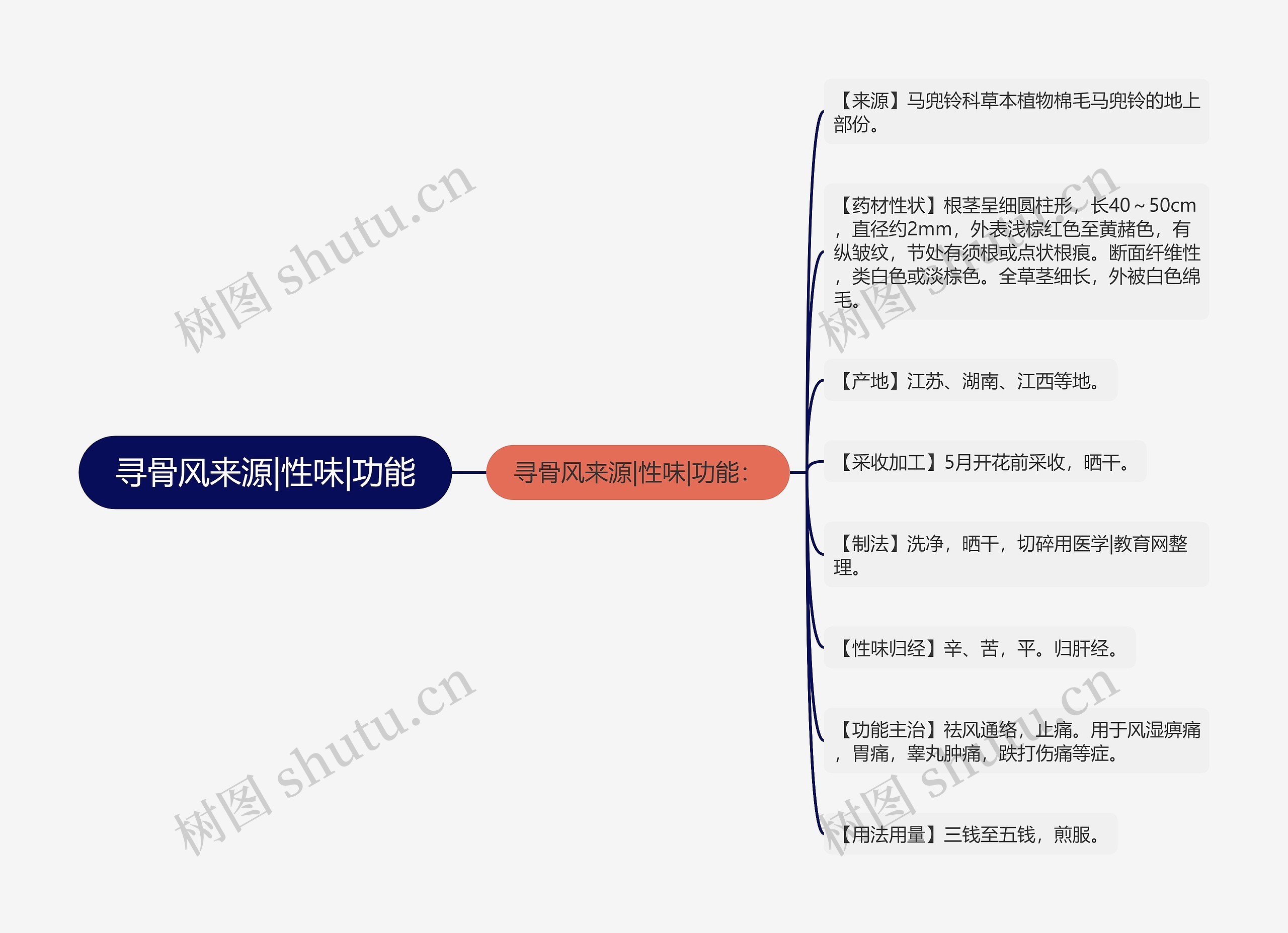 寻骨风来源|性味|功能思维导图